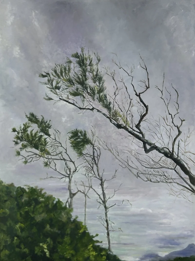 A painting of remnant Casuarina trees against a cloudy sky on Boambee Headland.