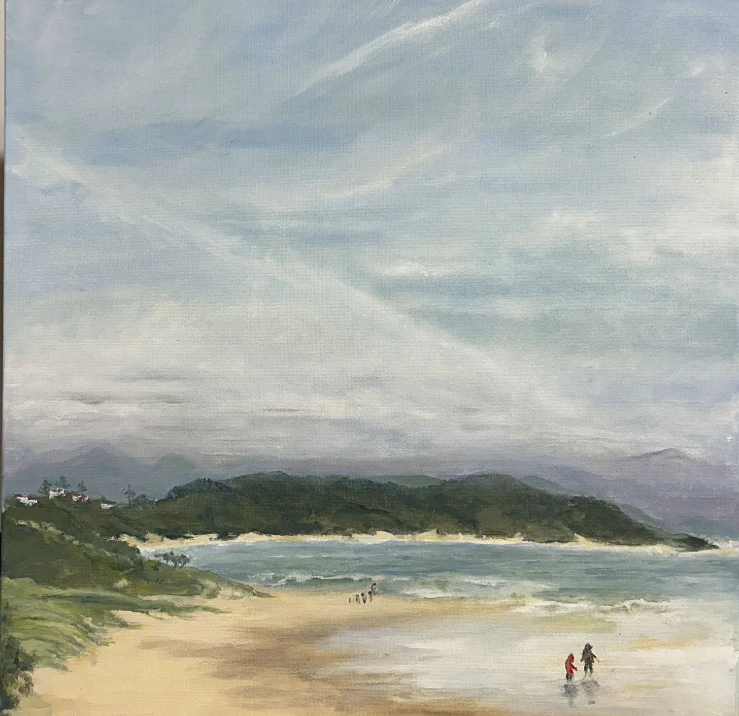 Landscape view of Murrays Beach from Sawtell Headland celebrating the sky