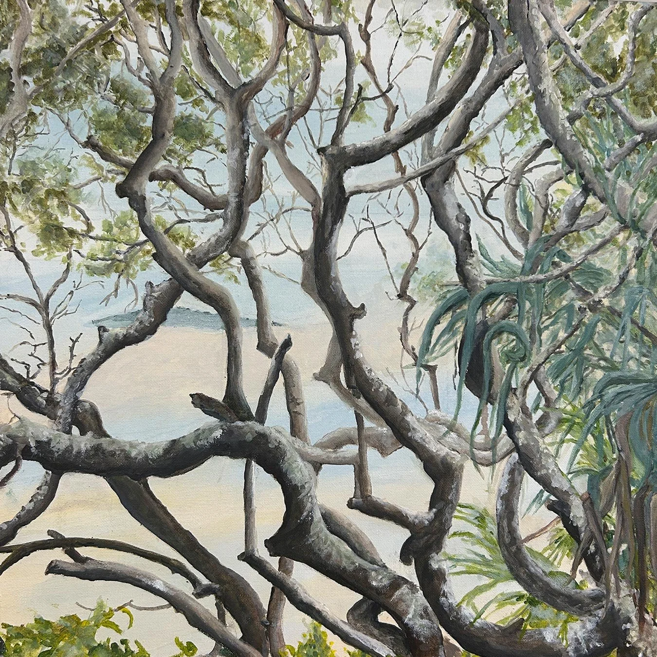 A painting of intertwined, ocean battered Tuckeroo branches on the fringe of the Littoral Rainforest with glimpses of sea and sky in the background.