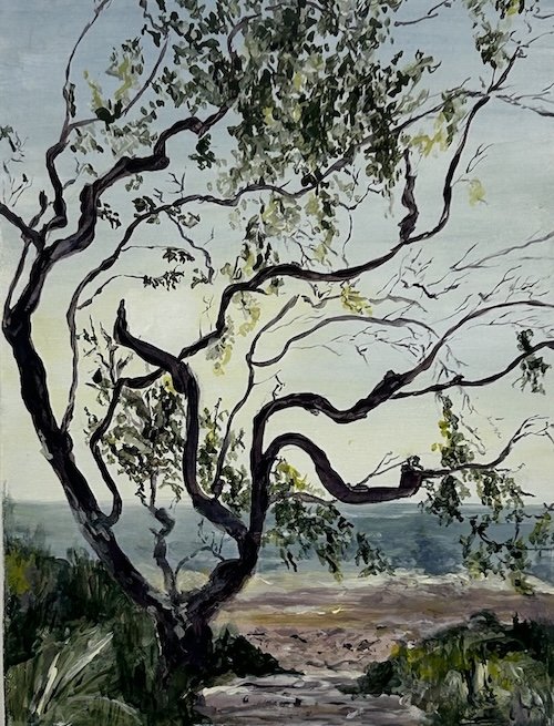 A painting of a large Banksia tree with twisting branches and sparse leaves, overlooking the ocean at Murrays Beach and a cloudy sky.