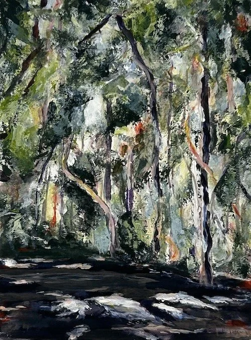 A painting of a rainforest scene in Dorrigo National Park with tall trees, a dark ground and showing light through the leaves.