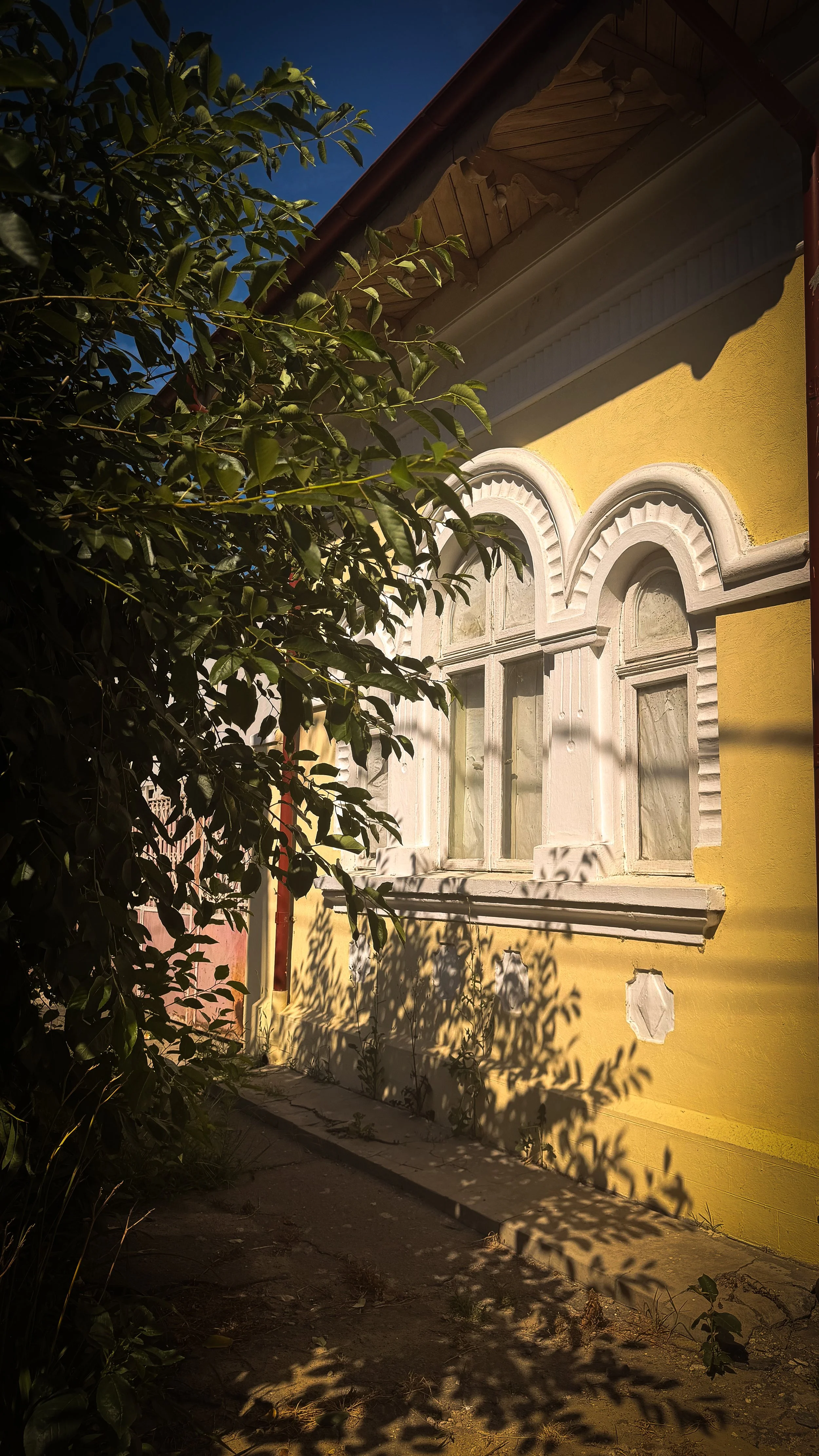 IMG_1746.jpeg