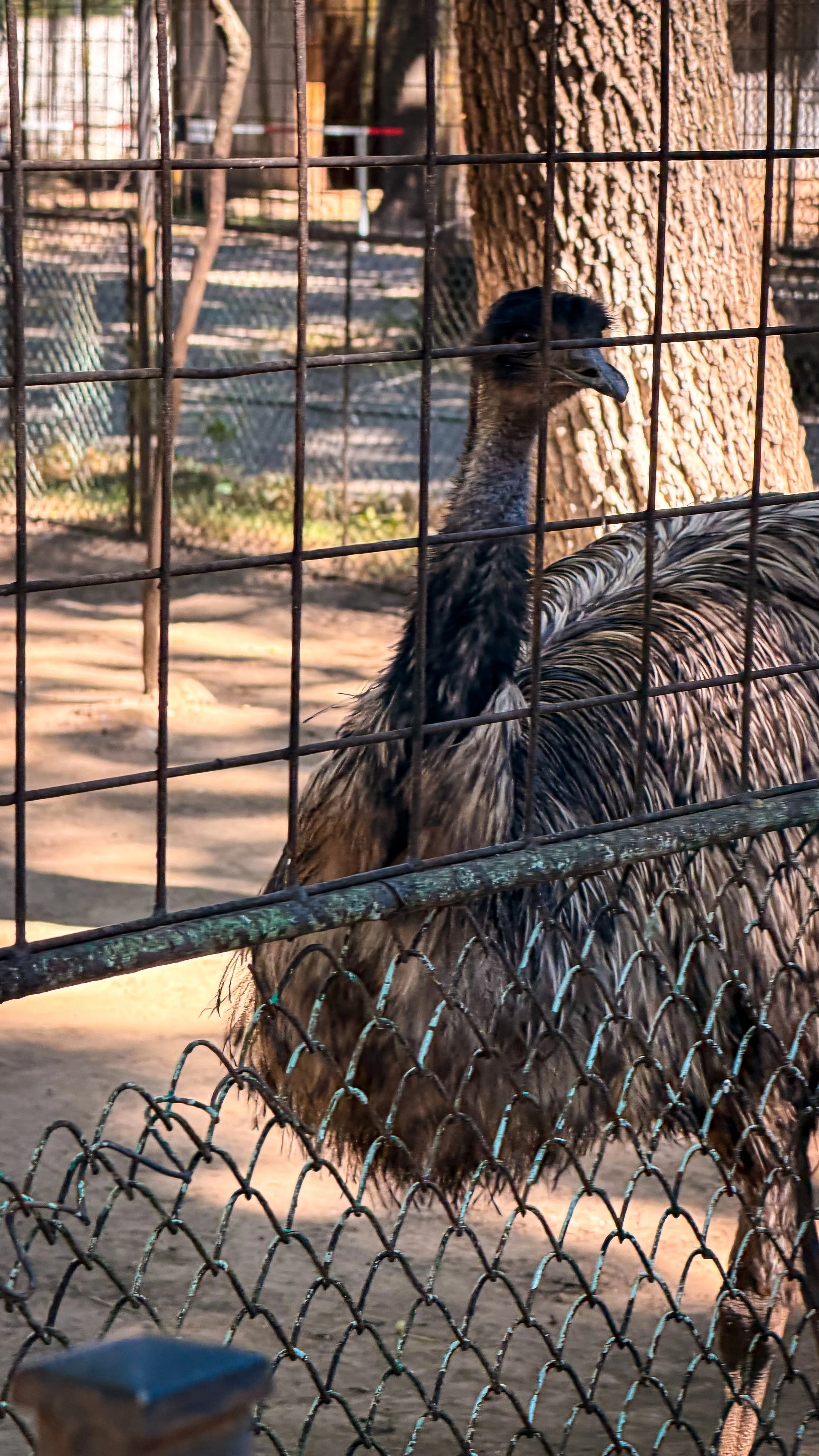 IMG_3546.jpeg