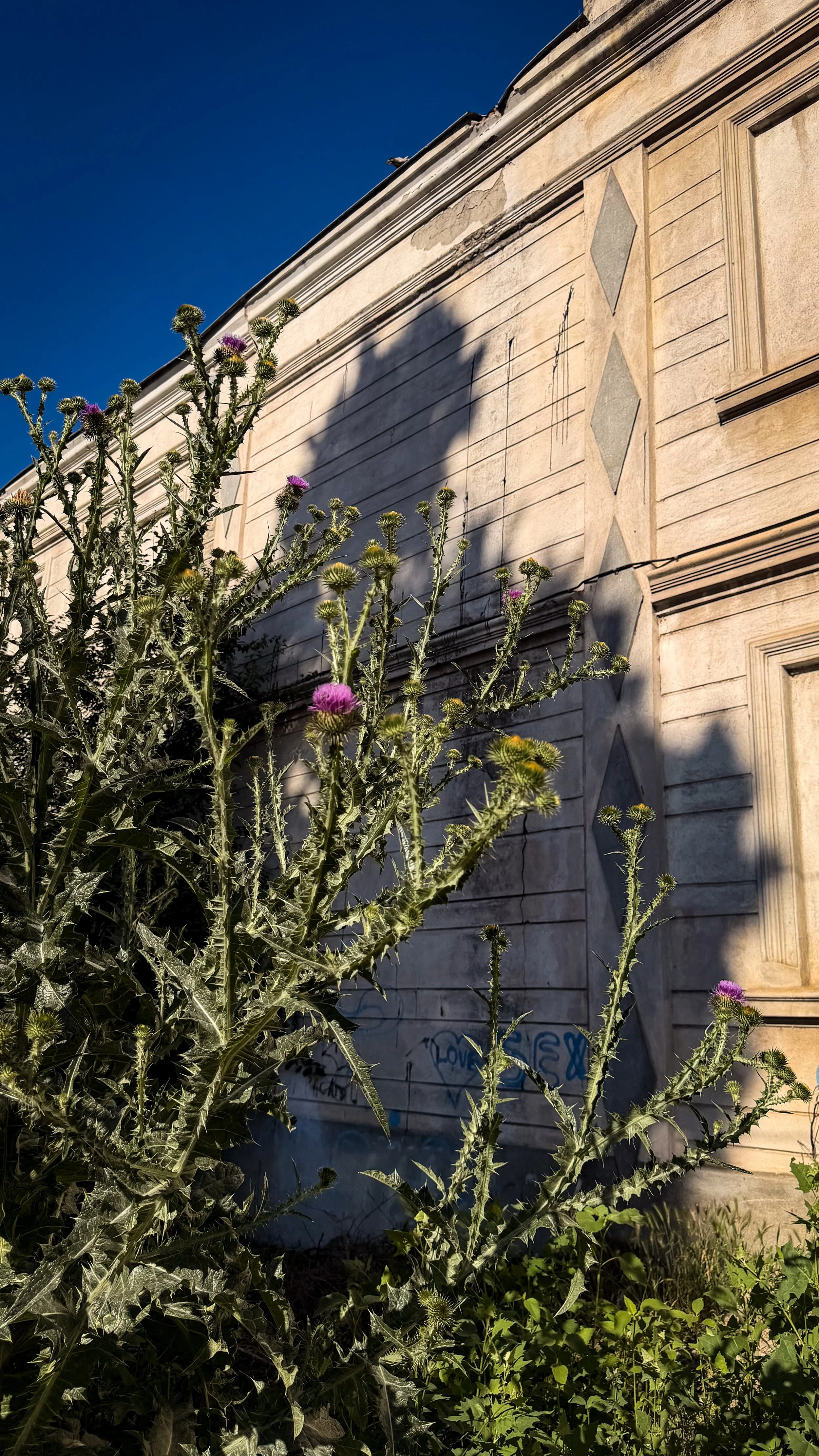 IMG_0477.jpeg