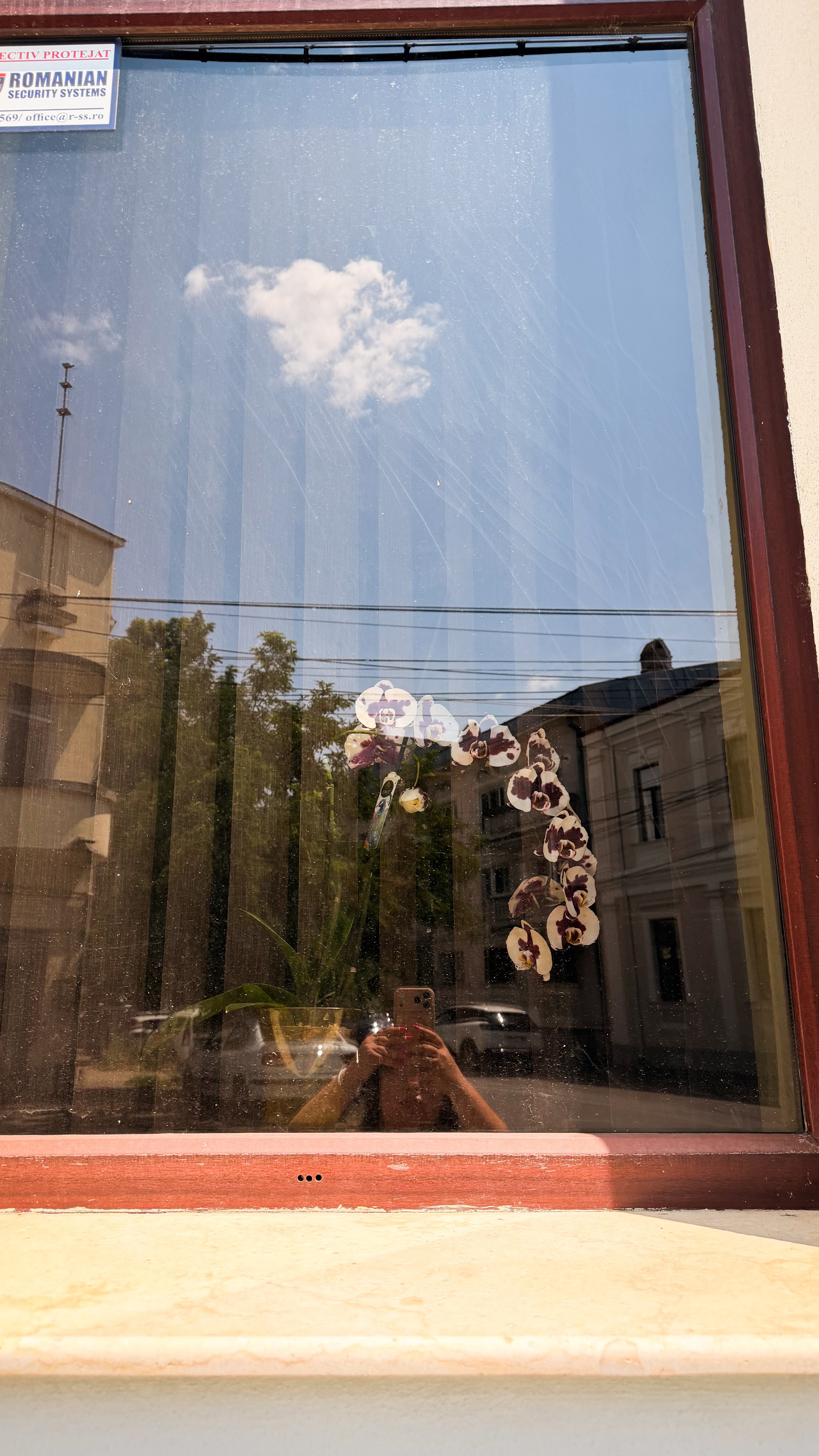 IMG_1534.jpeg