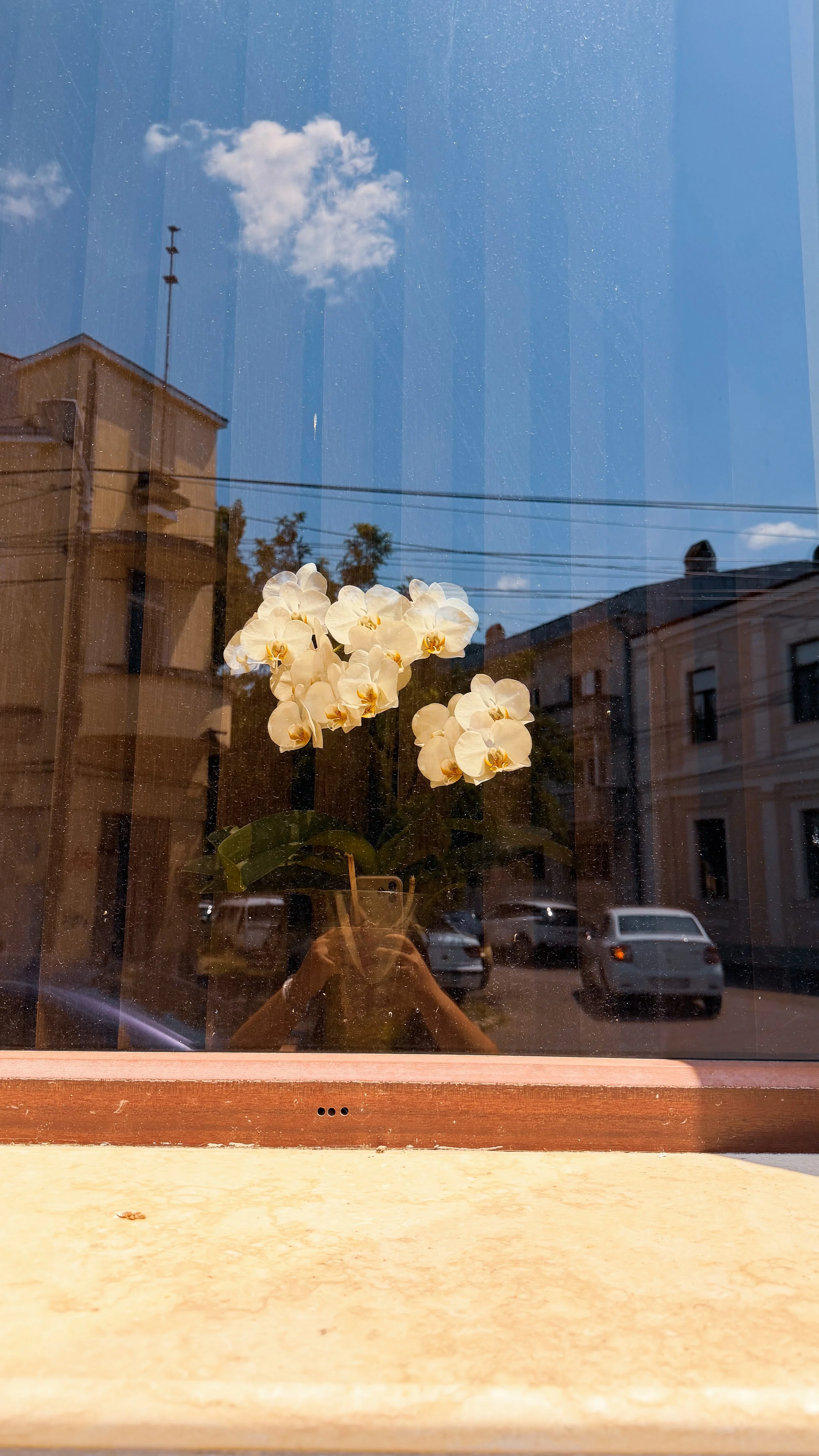 IMG_1532.jpeg