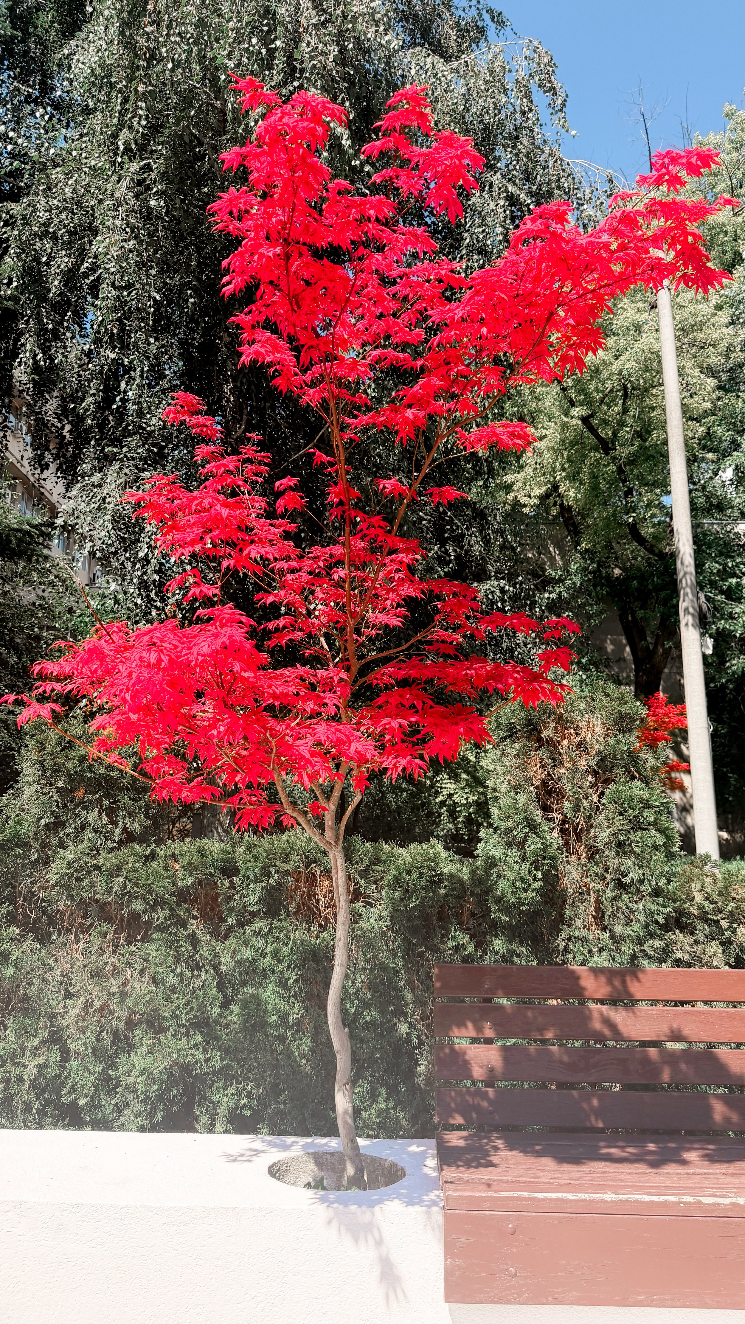 IMG_0696.jpeg