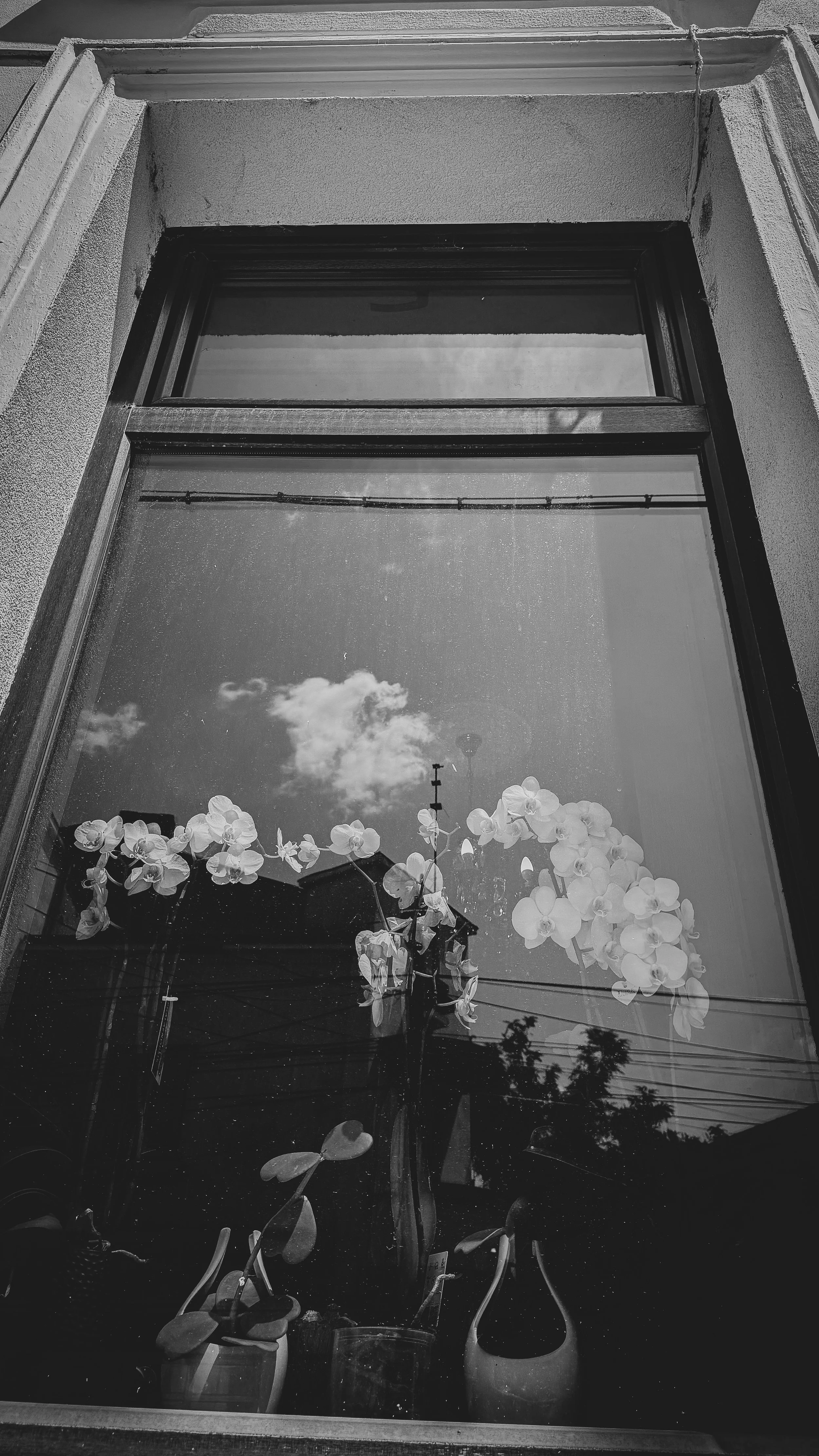 IMG_1530.jpeg