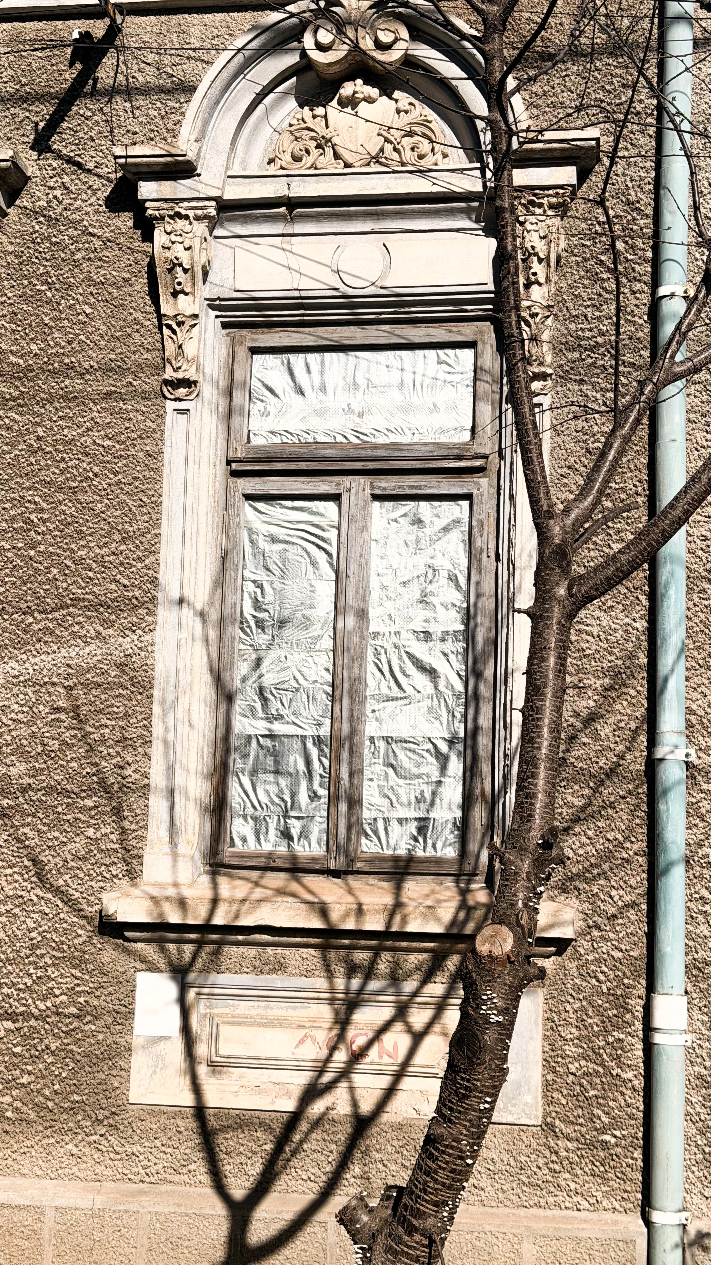 IMG_0440.jpeg