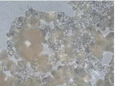 Crystallized varnish 2.png