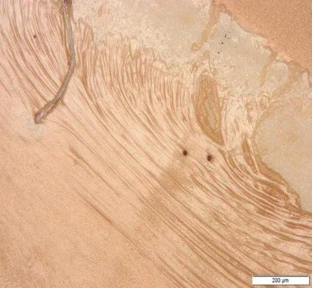 Picture1 - nail polish varnish.jpg