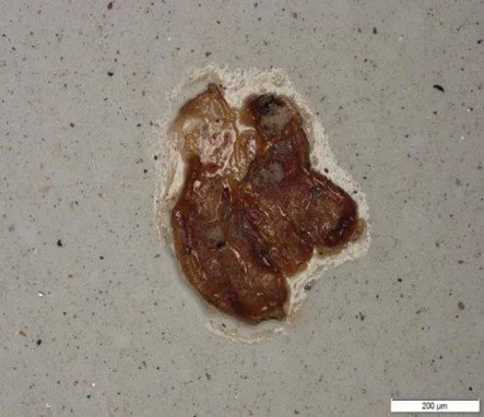 Picture7 - gummy like sticky varnish formation.jpg