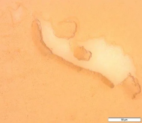 Picture1 - crystallized varnish layer.jpg