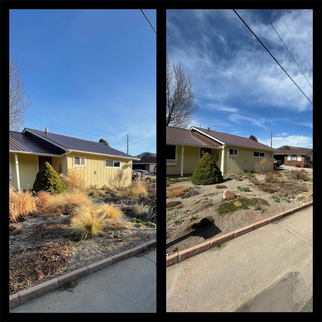 Spring Clean up