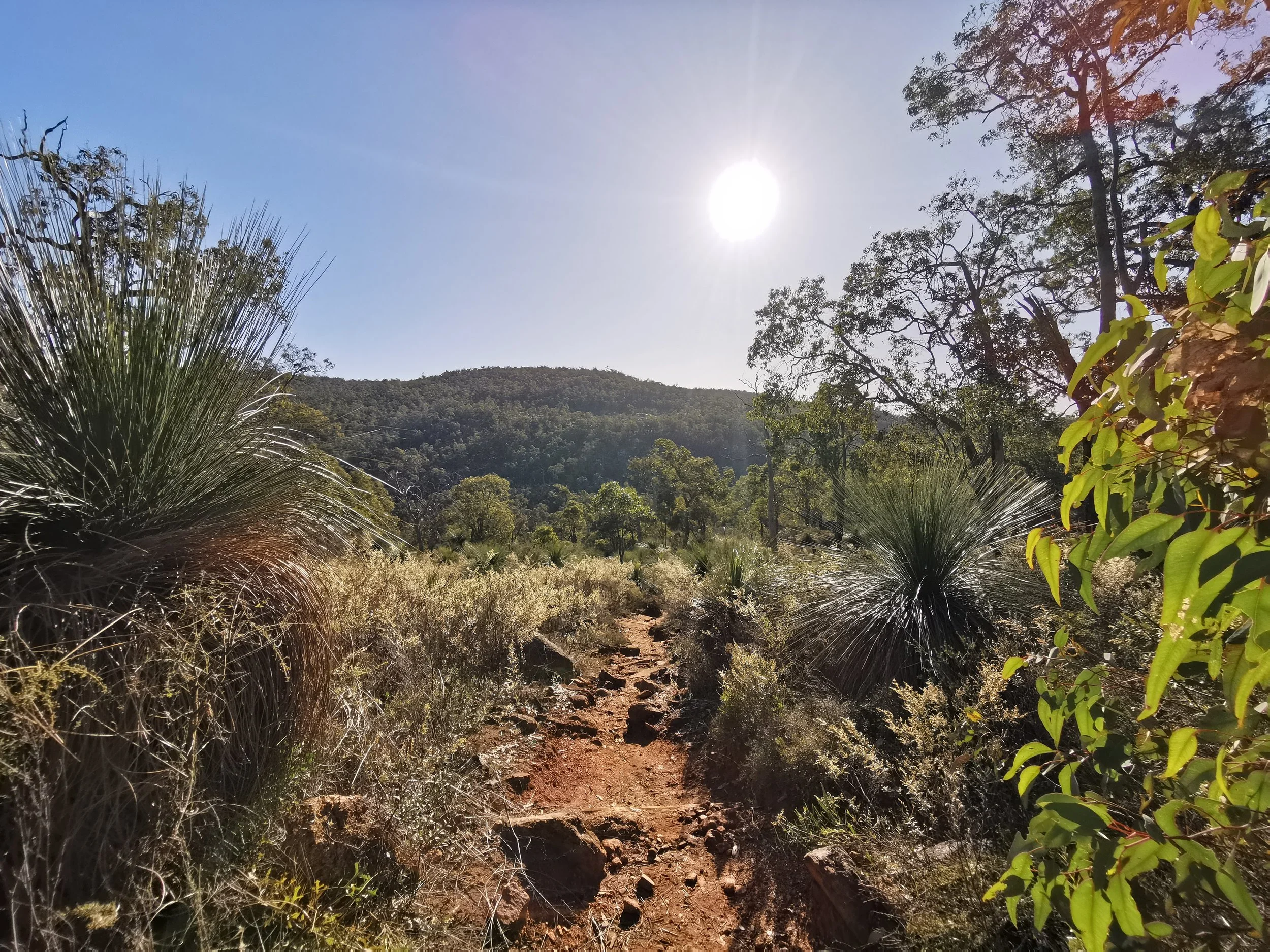 The Urge to ‘Touch Grass’: Why interest in ecotherapy for Australian youth is rising