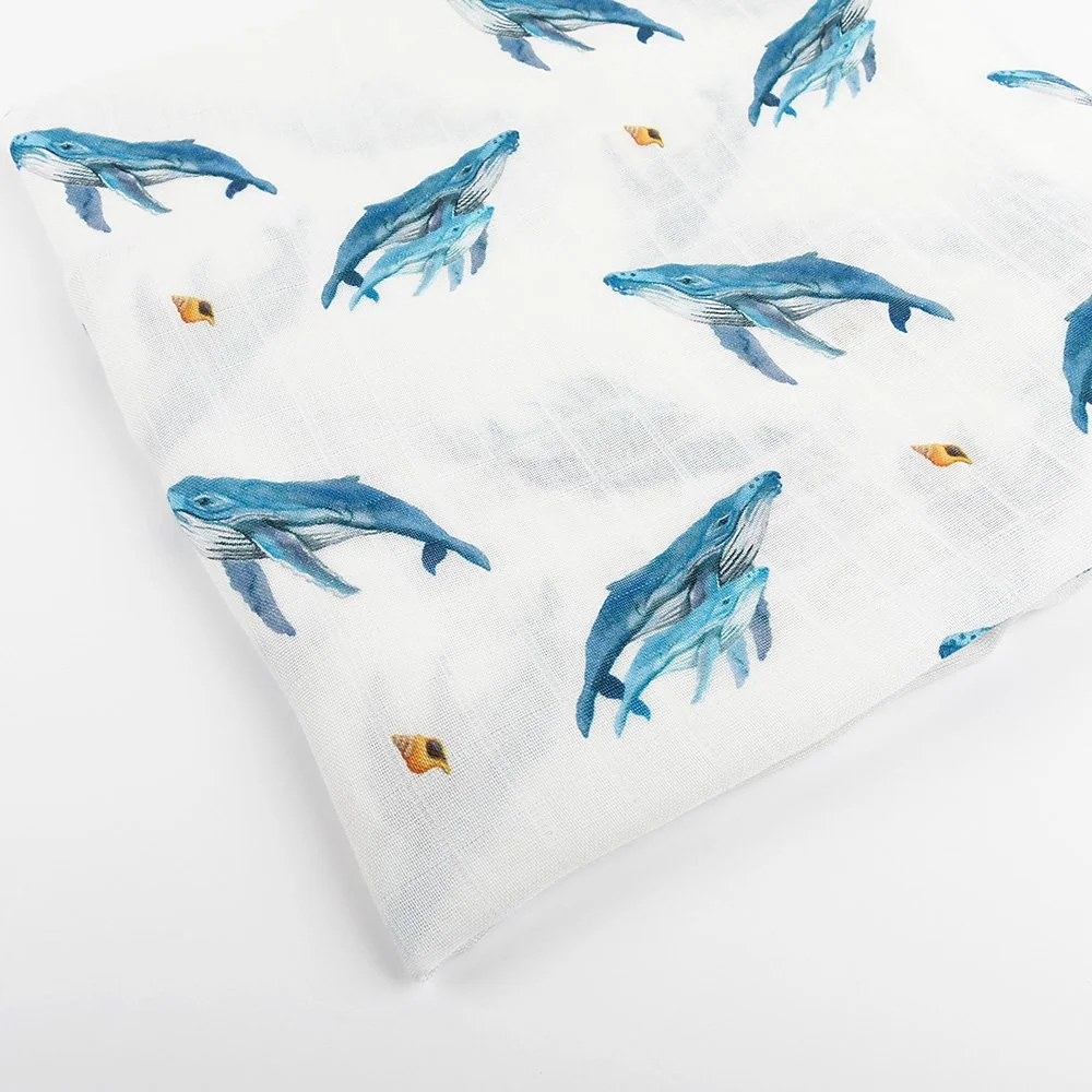 SS_Whales_19.jpg