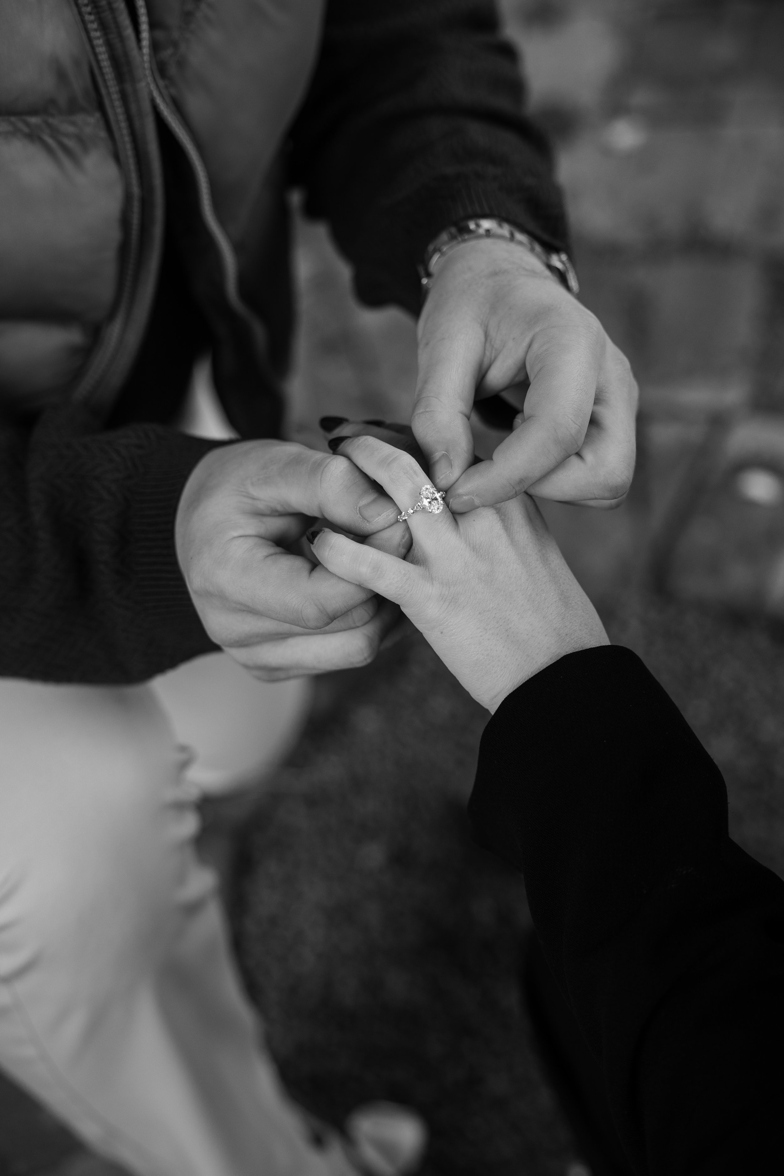 JB_PROPOSAL_00243.jpg