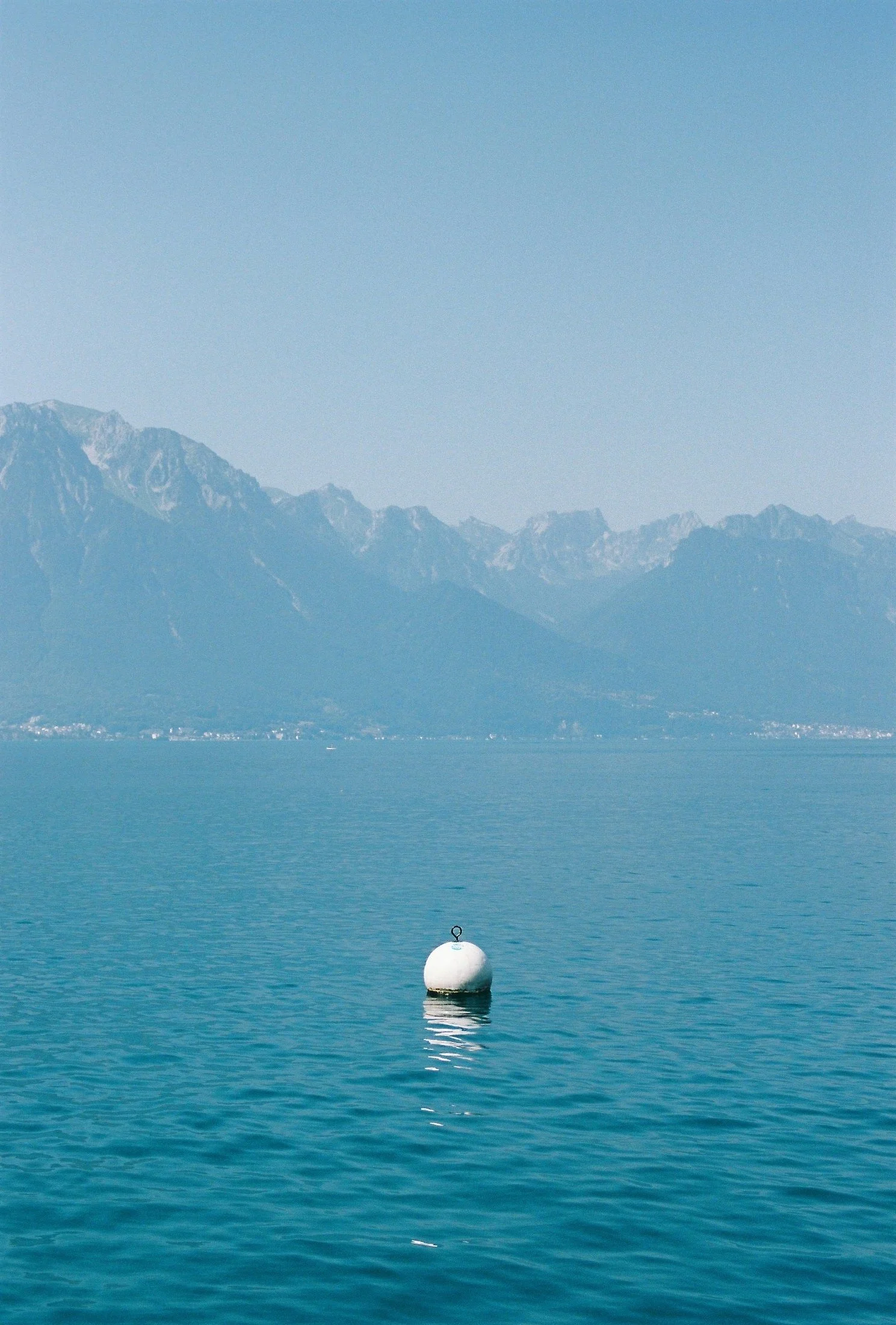 06.jpg