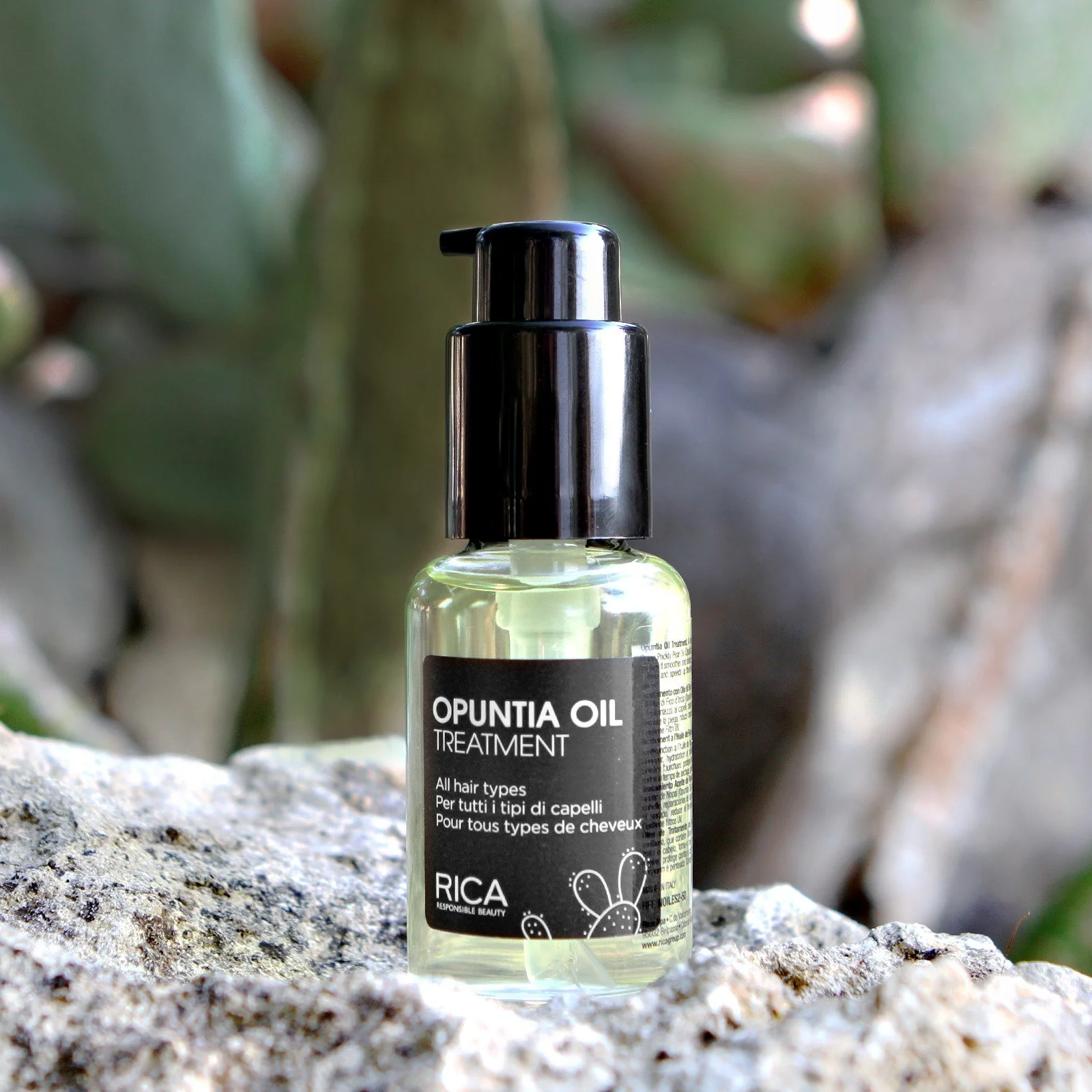 Flacon d'huile capillaire Opuntia Oil Treatment posé sur une pierre, fond flou de cactus.