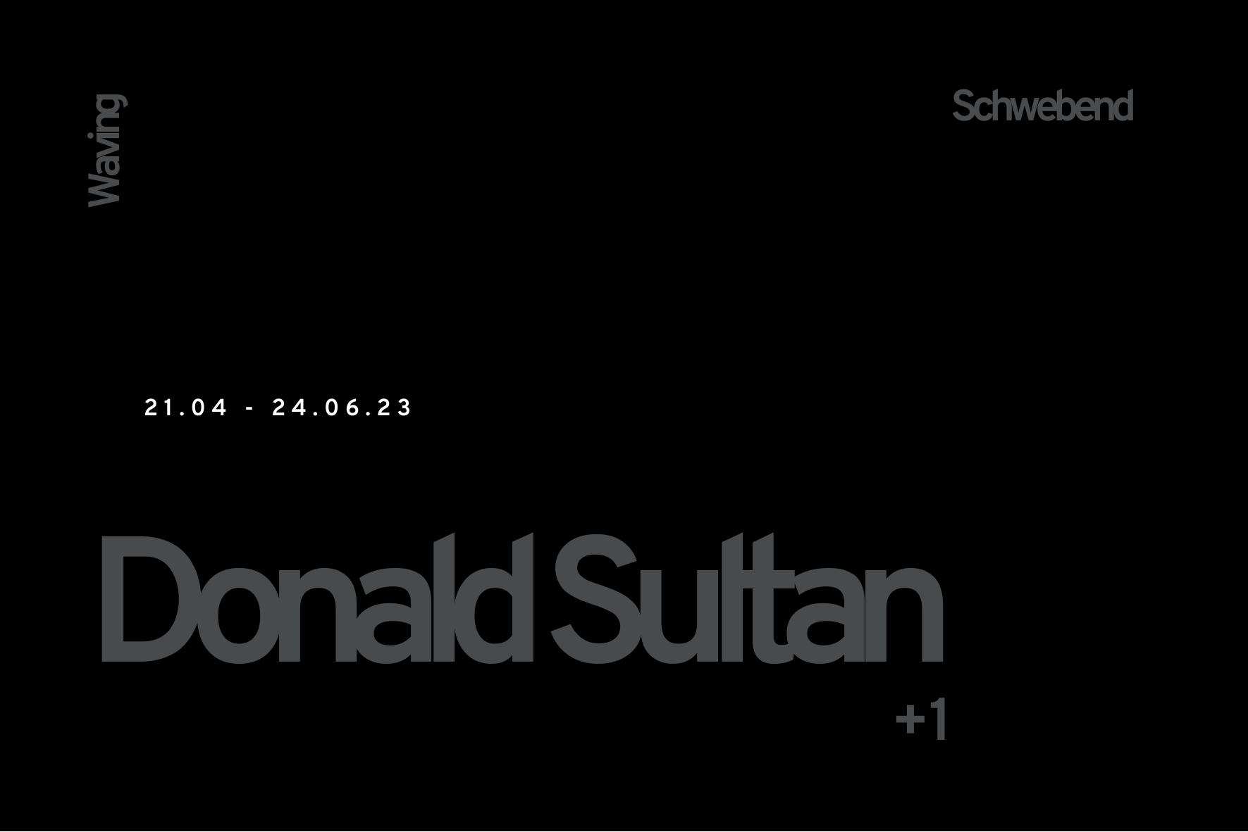 Exhibition Catalogue
Donald Sultan: Schwebend / Waving
Digital exhibition catalogue, 2023
French and English
32 pages