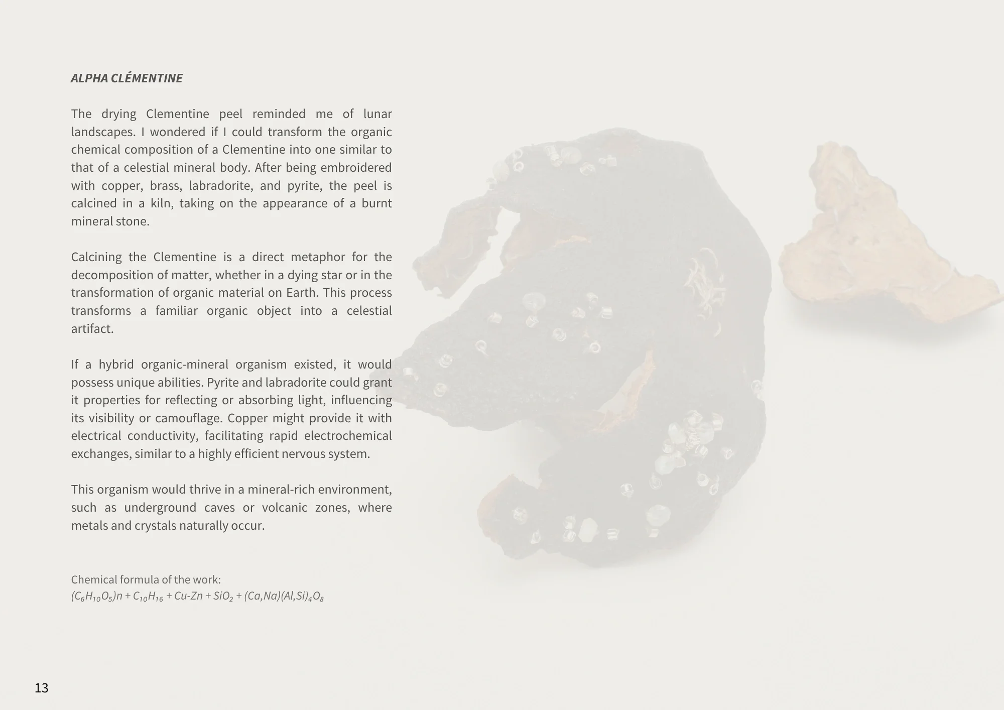 ALPHA CLEMENTINE (2).webp