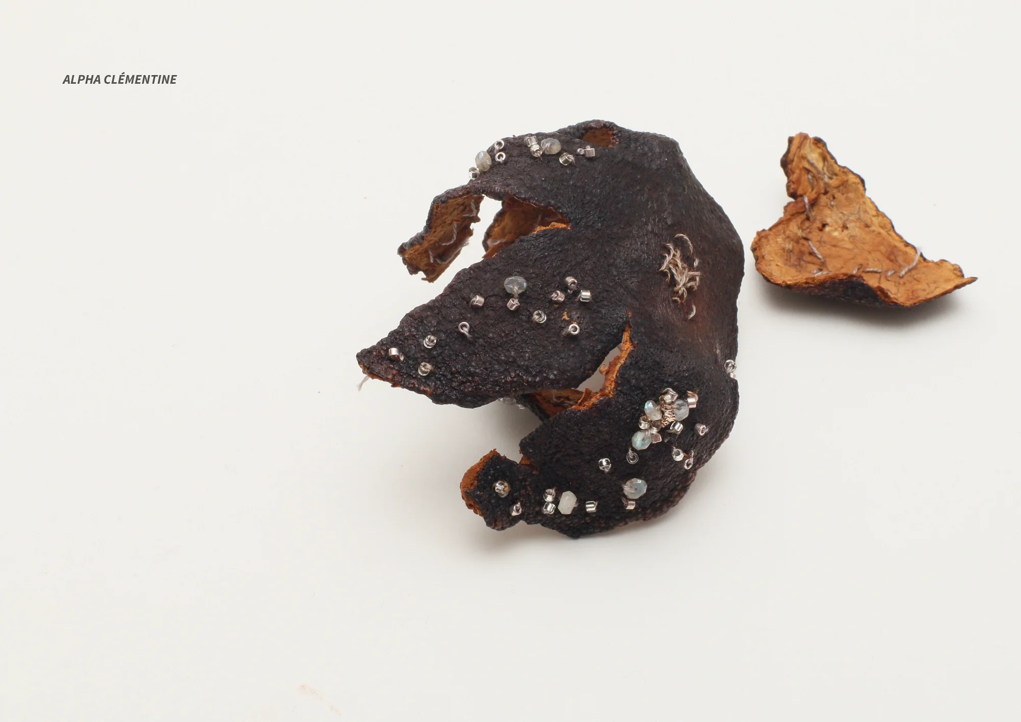 ALPHA CLEMENTINE.webp