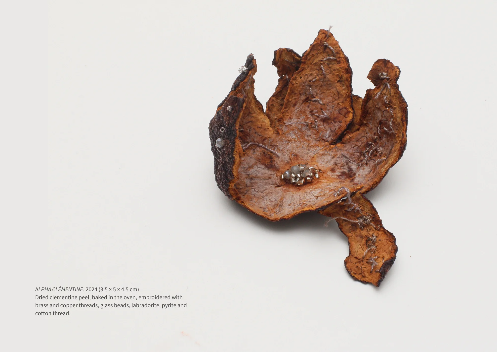 ALPHA CLEMENTINE (3).webp