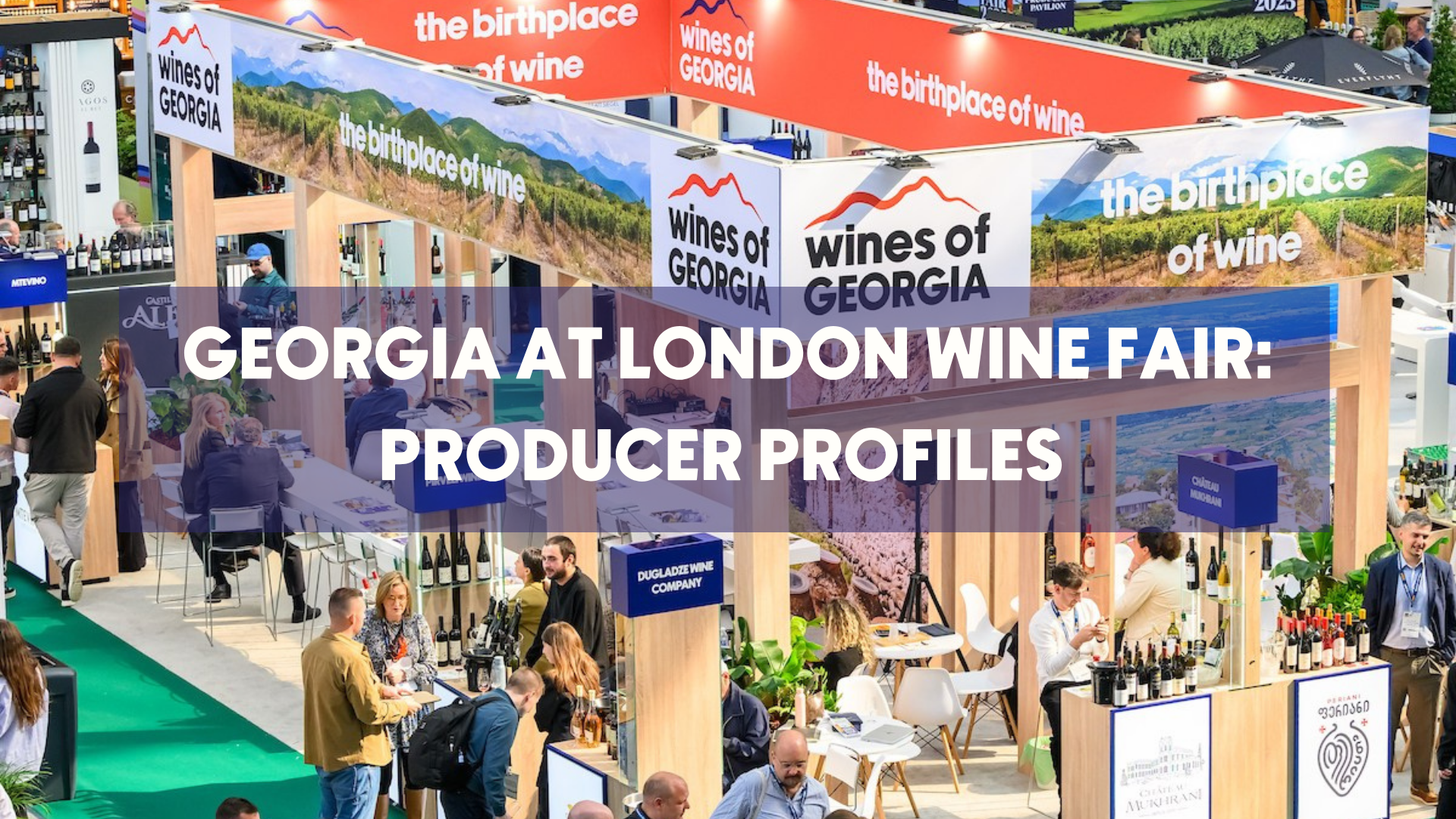 Georgia At London Wine Fair: Producer Profiles&nbsp;
