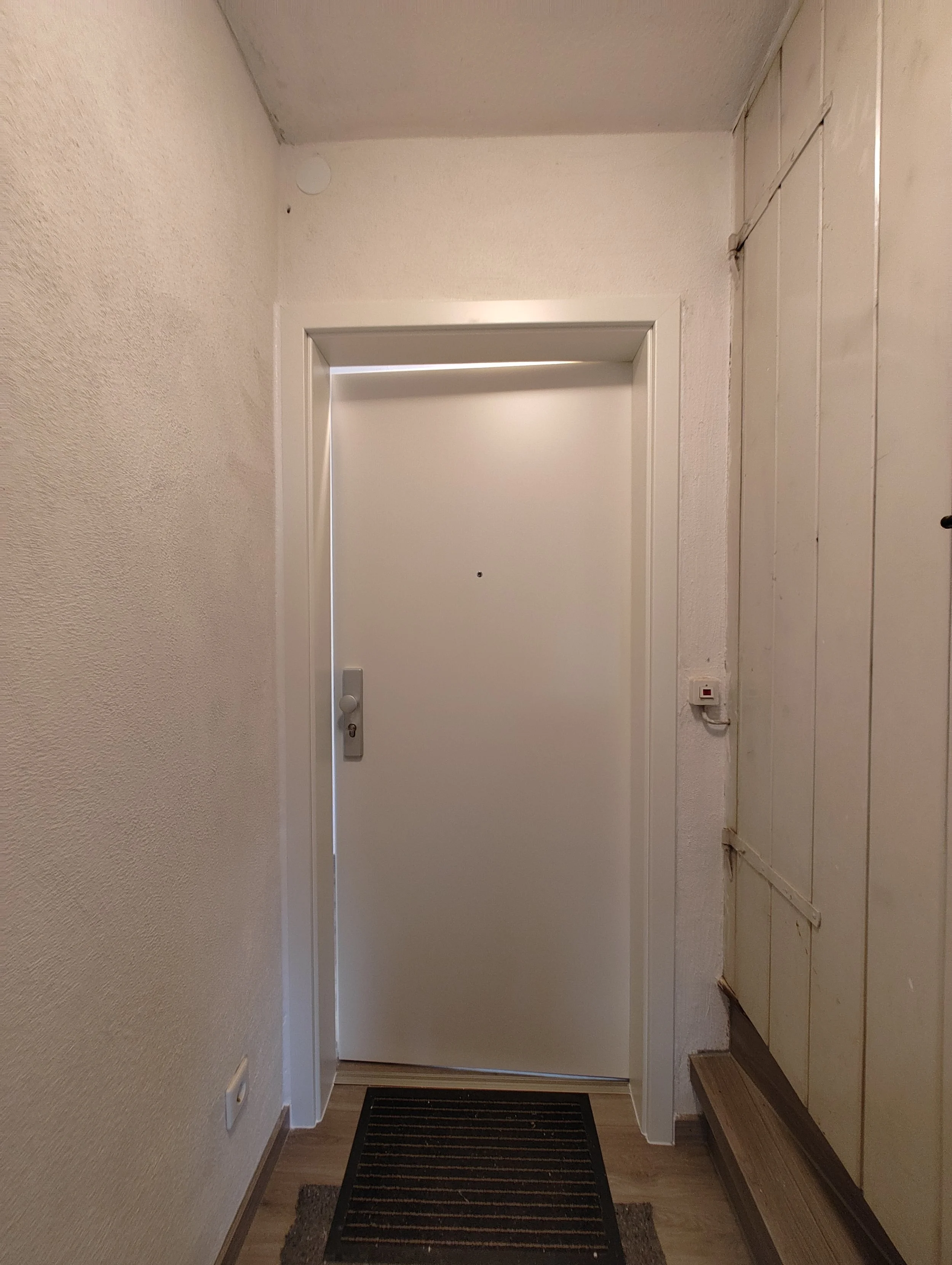 Wohnungseingangstüre Hozbau Dipper.jpg