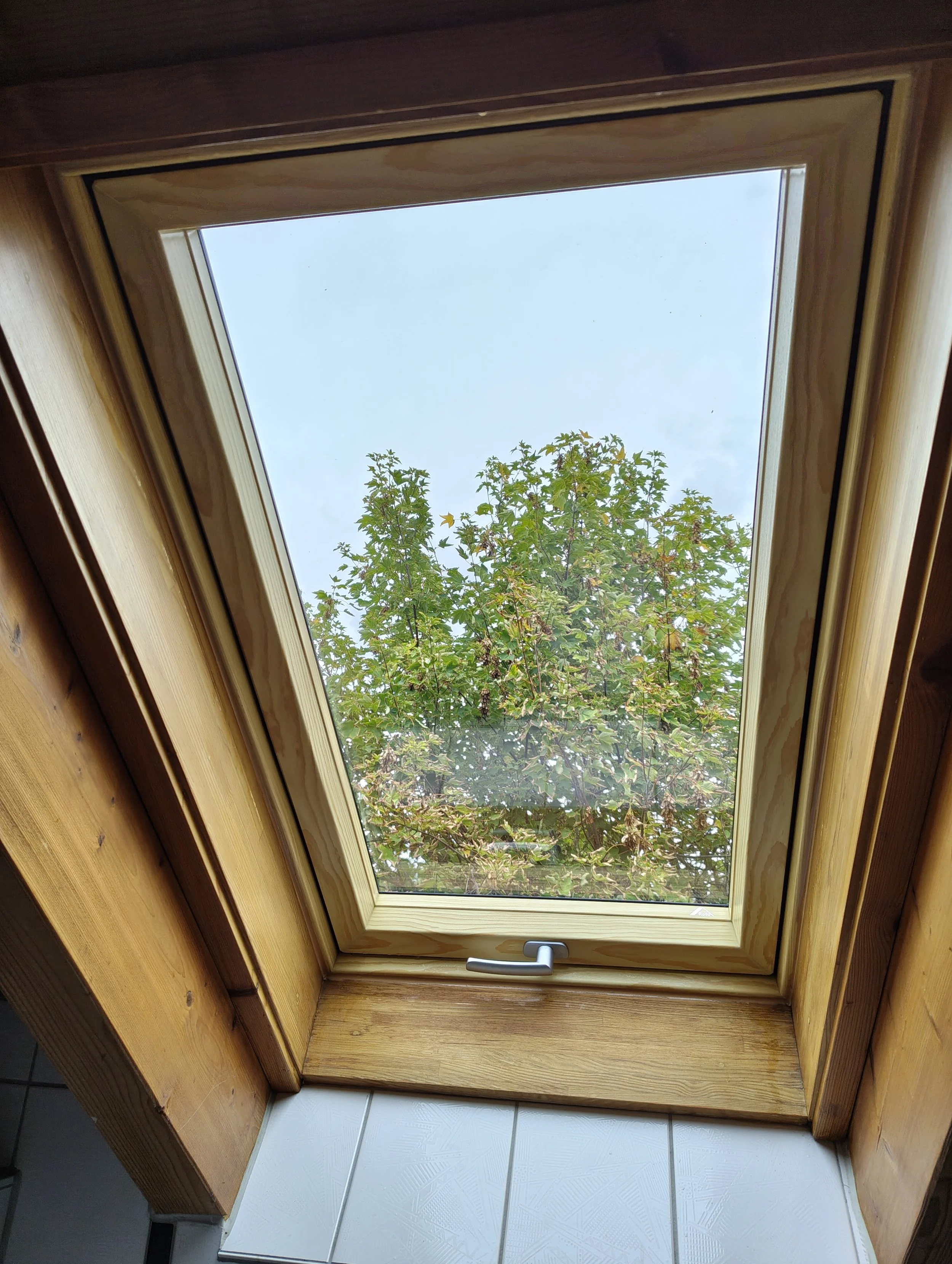 Kunststoffdachfenster in Holzoptik.jpg