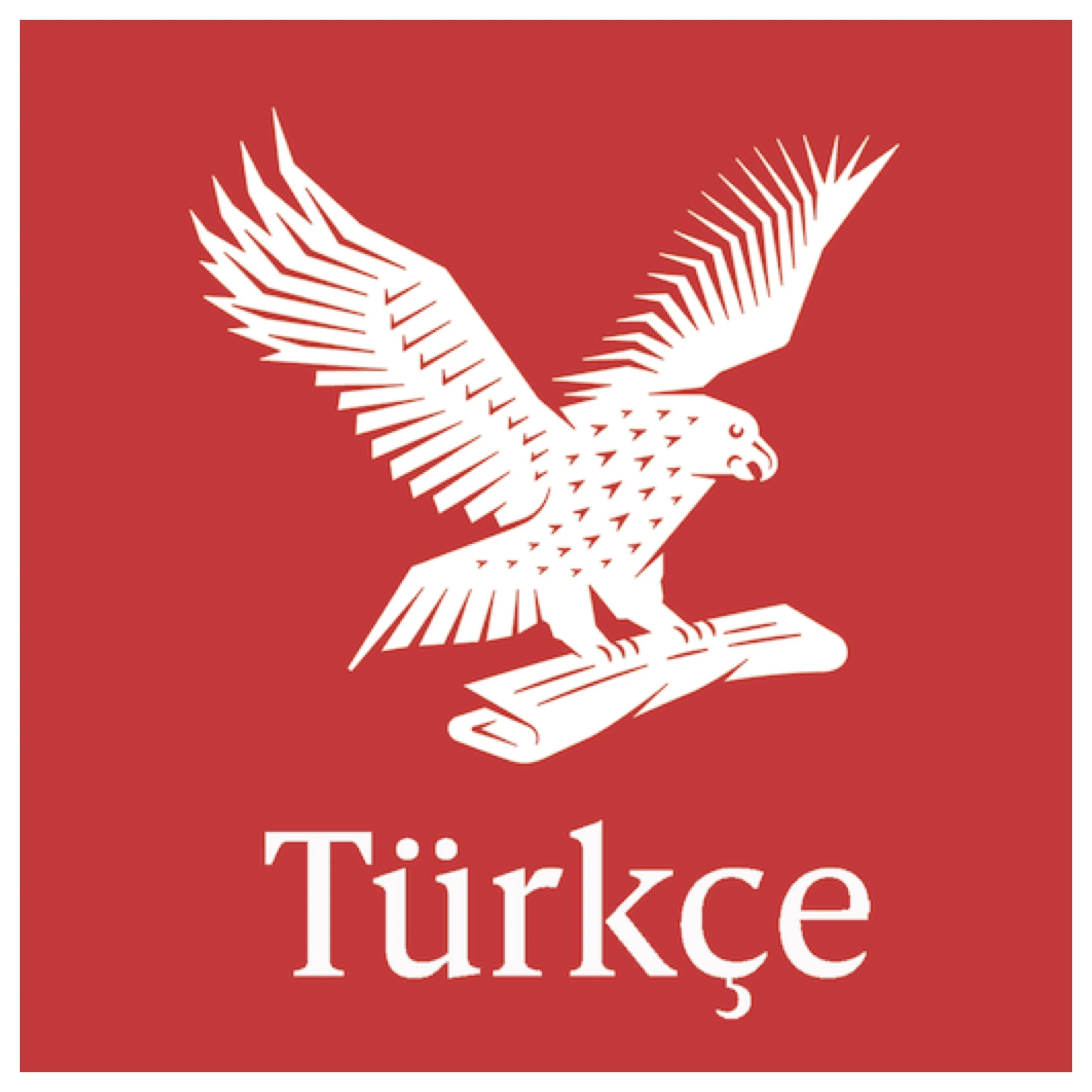 export square INDEPENDENT TURKEY.jpeg