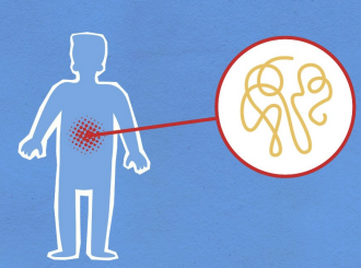 Human form with his gut highlighted