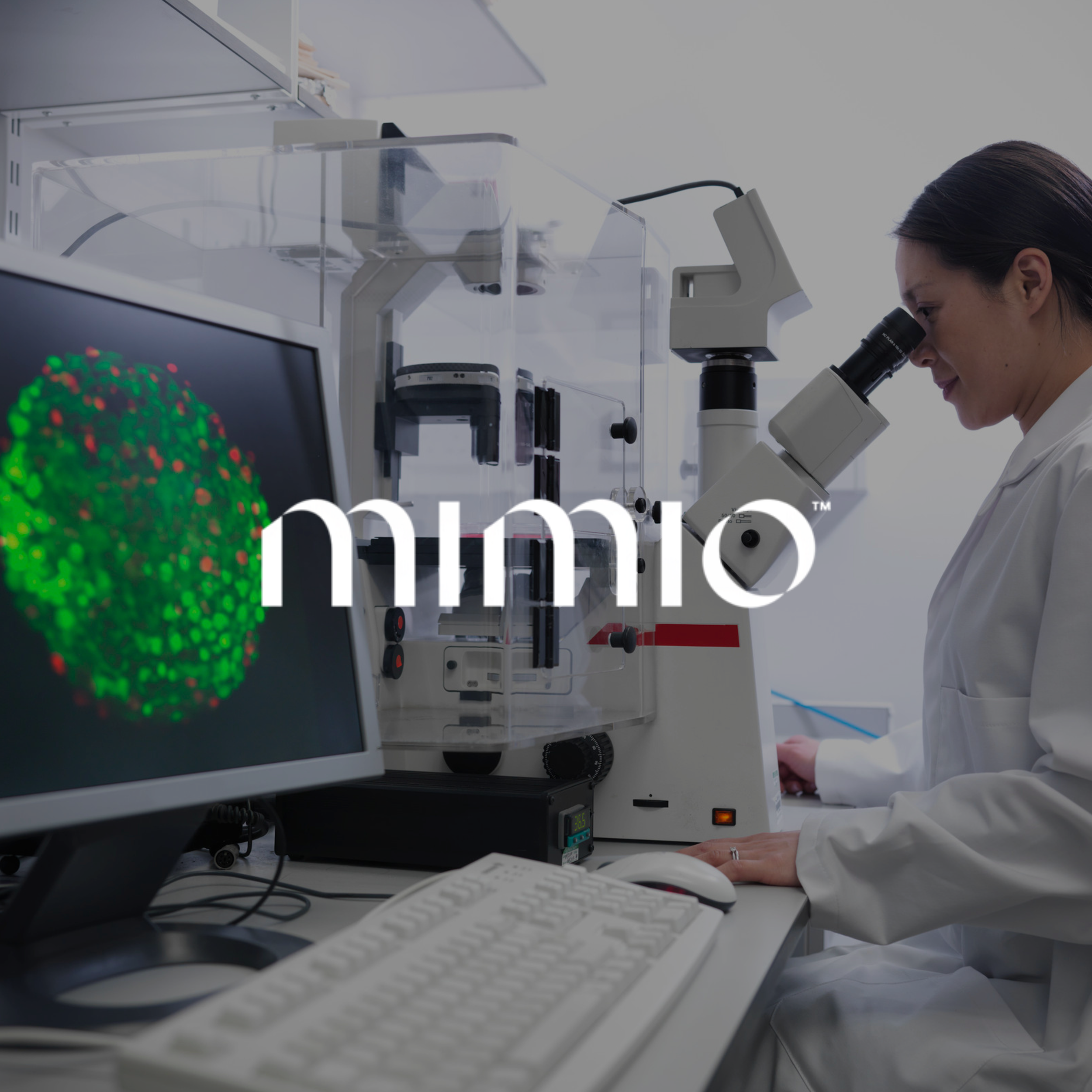 Scientist looking into a microscope in a laboratory with a computer monitor displaying a green and red cellular structure.