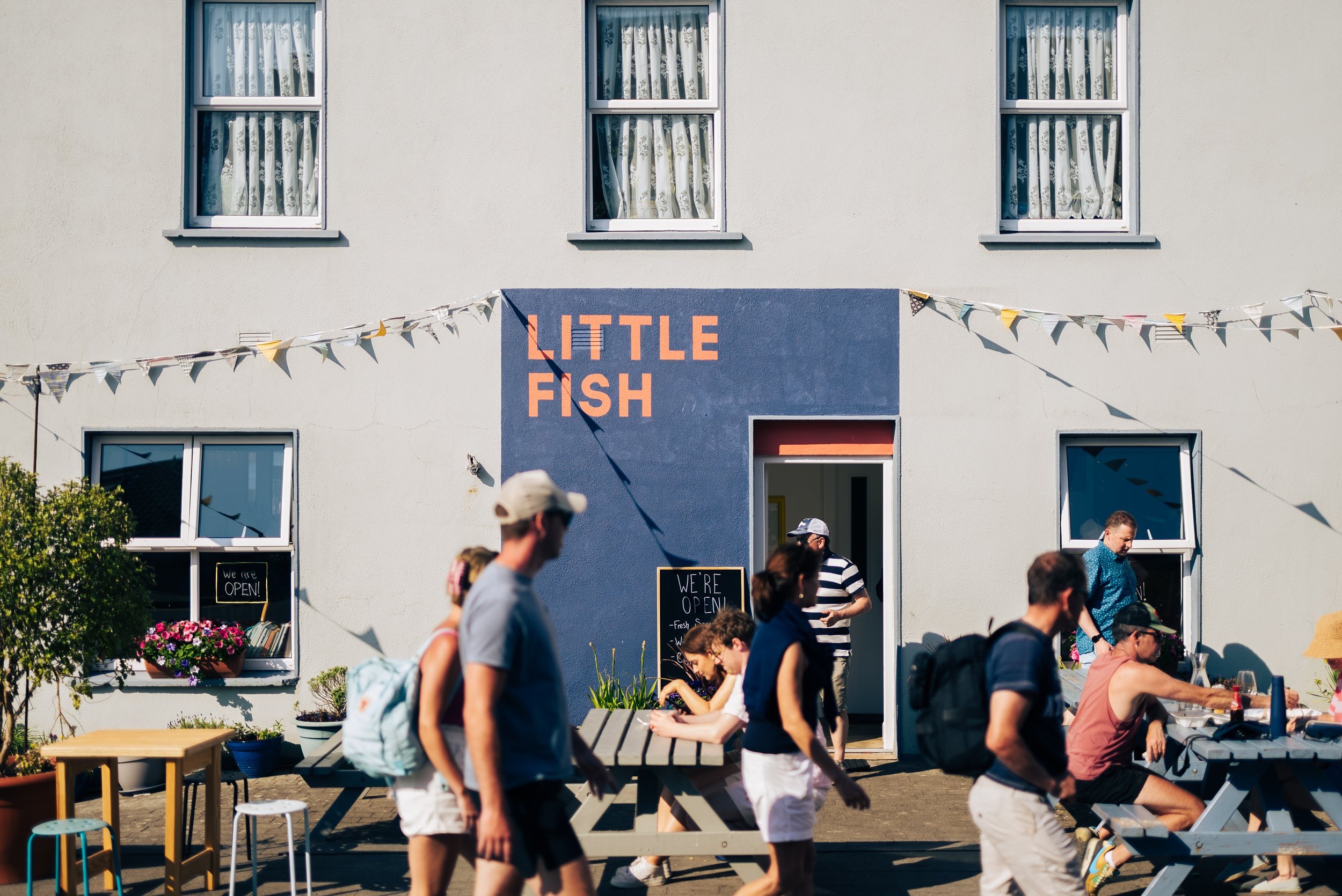 Little Fish