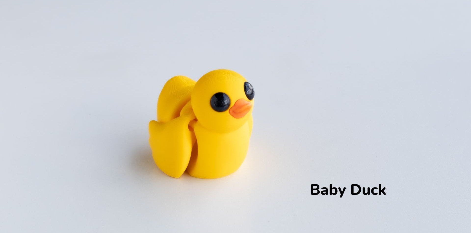 Baby_Duck1.jpg