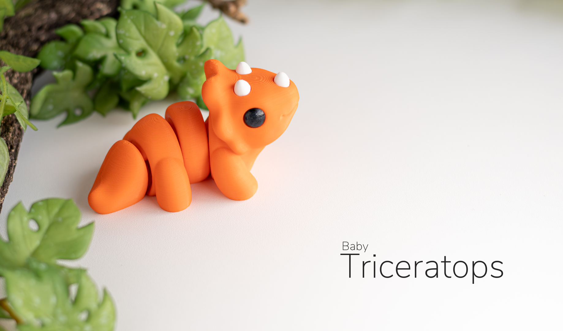Baby triceratops 1.png