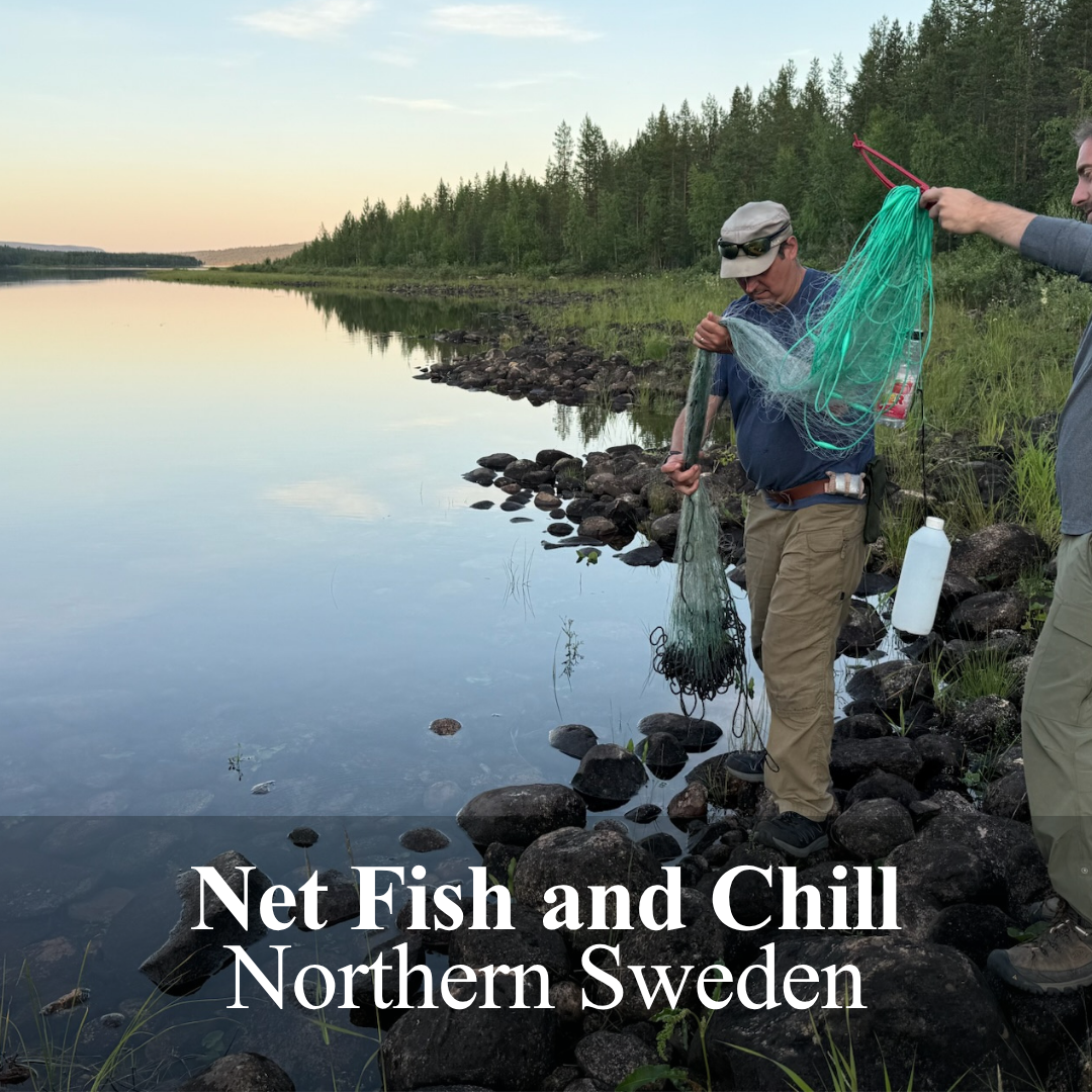Net Fish and Chill — Northern Sweden