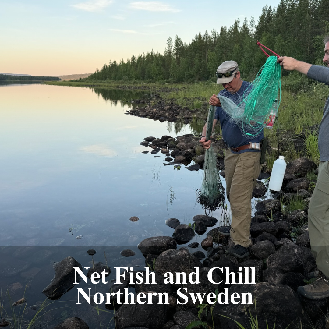 Net Fish and Chill — Northern Sweden