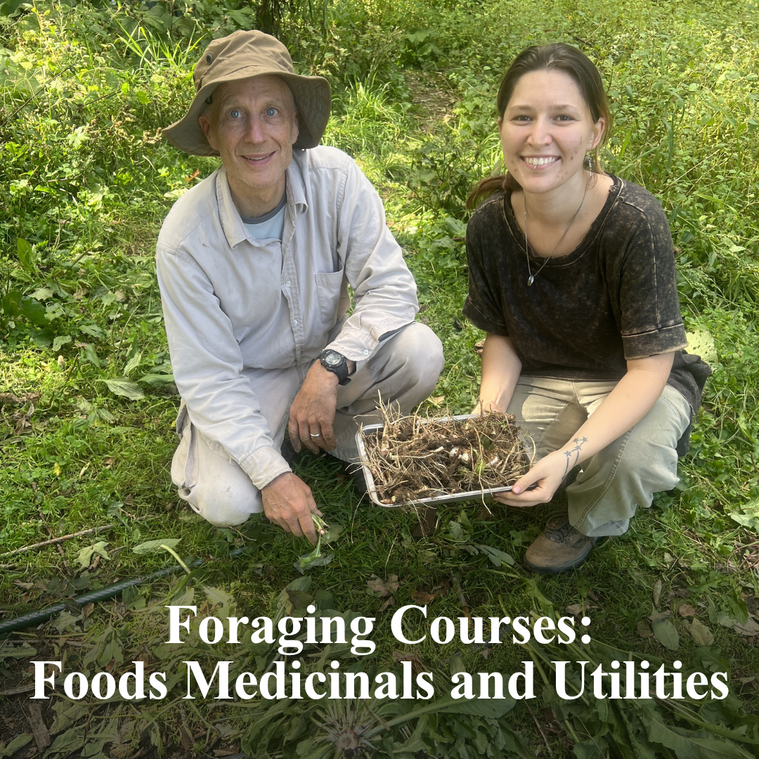 Foraging Courses: Foods Medicinals and Utilities