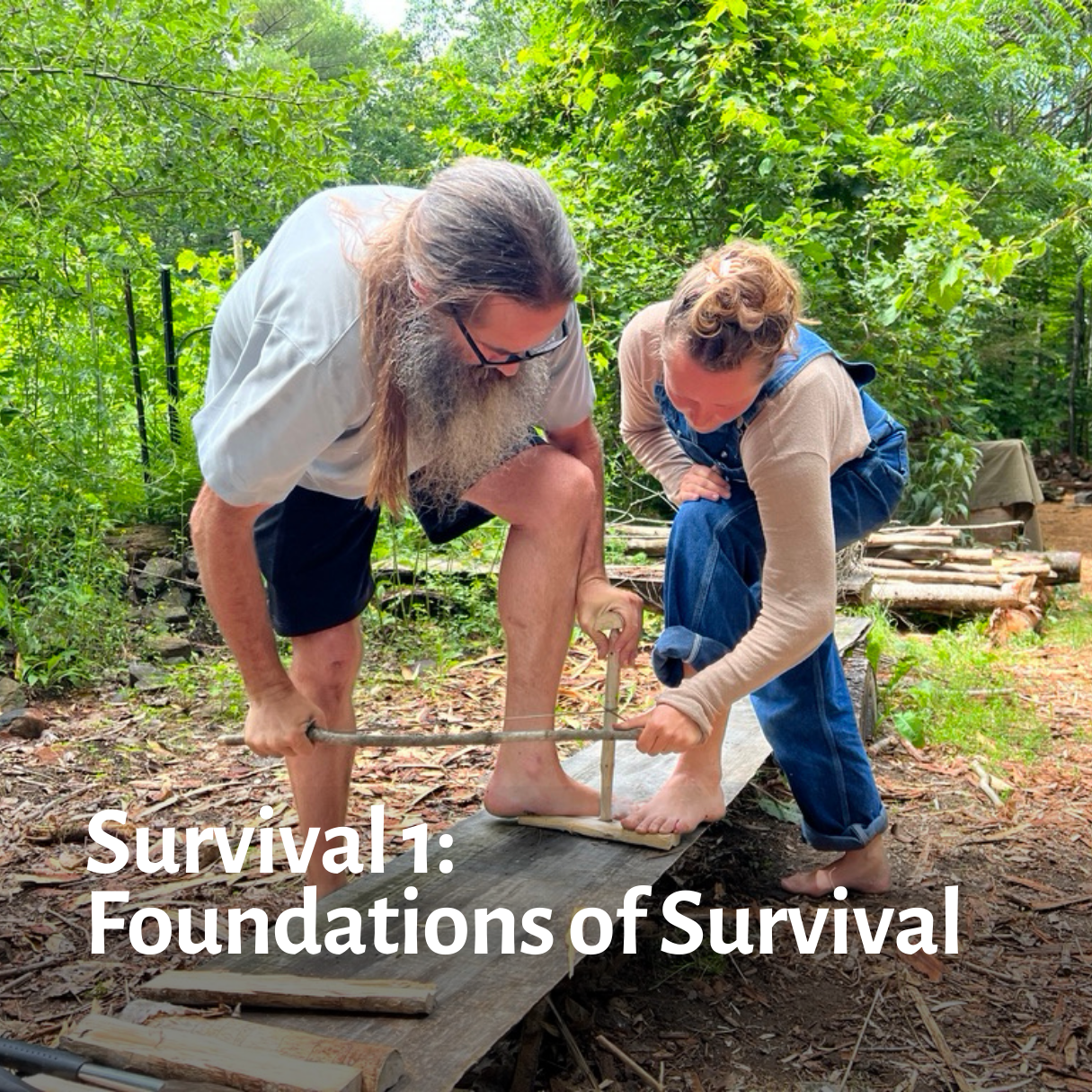 Survival 1.png