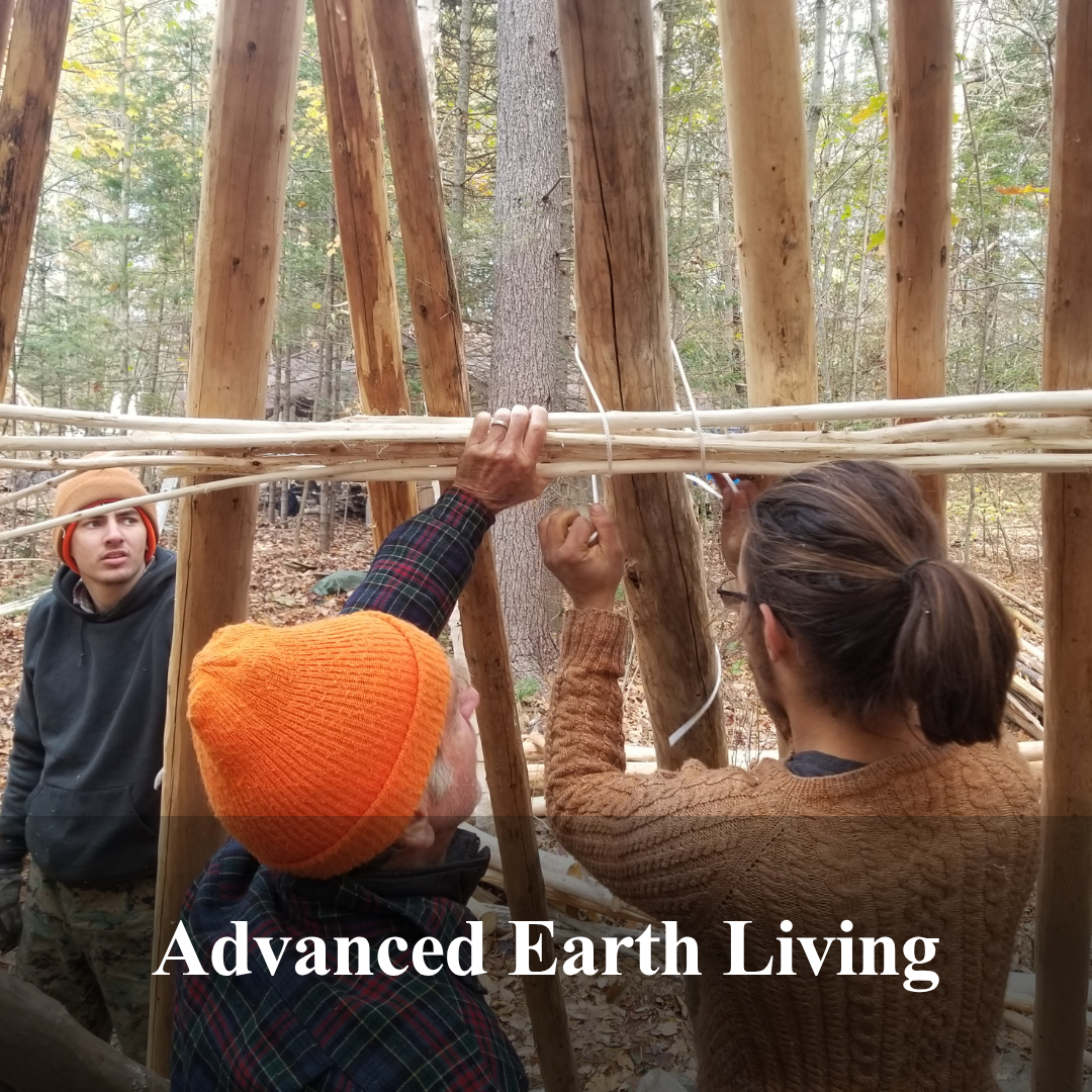 Advanced Earth Living