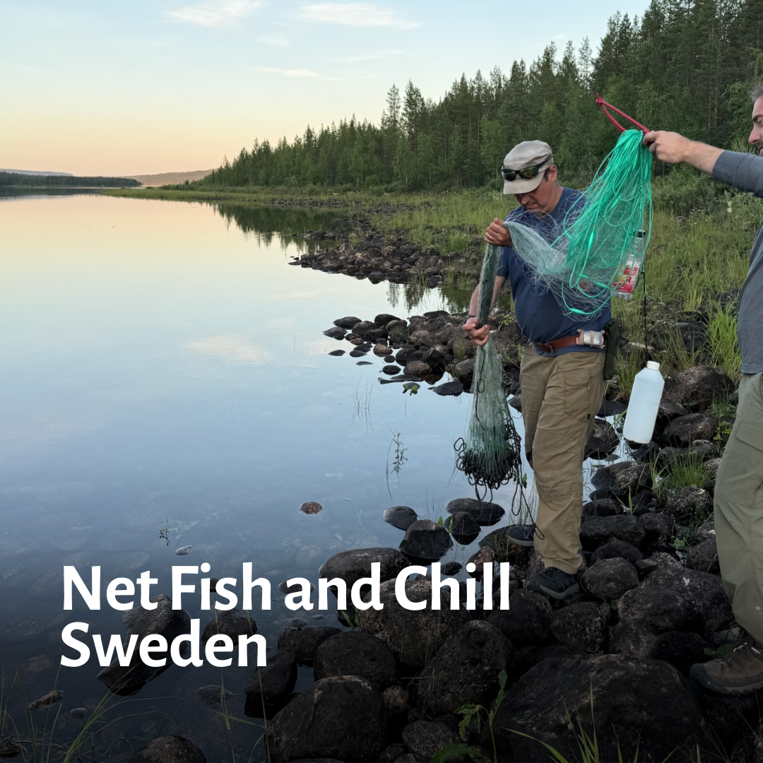 00 Net Fish Chill thumbnil.png