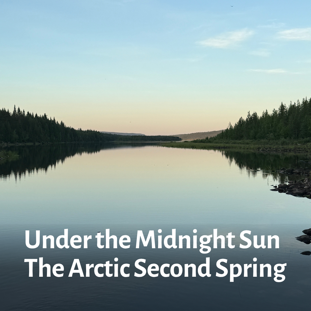 Under the Midnight Sun.png