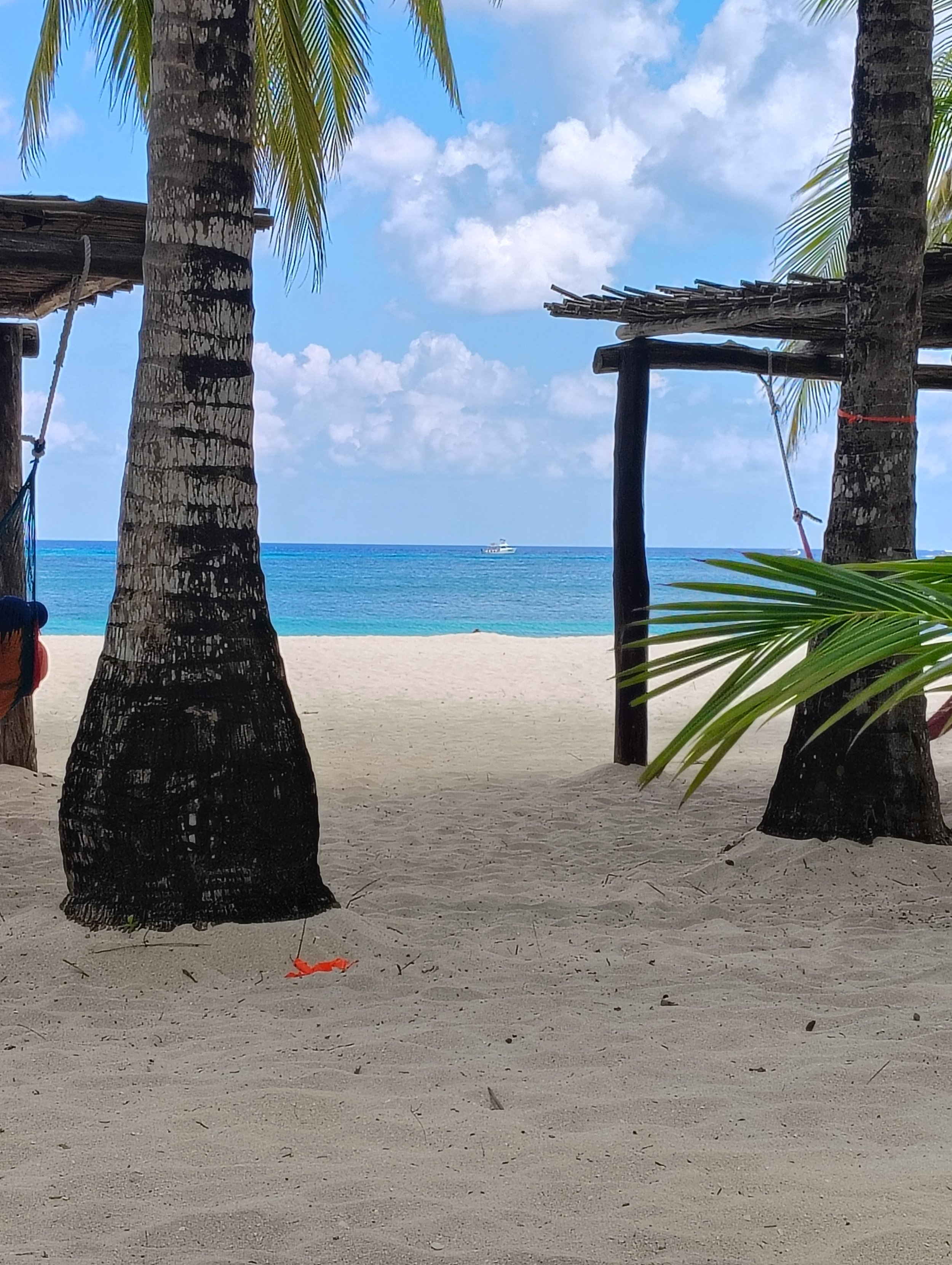 View of a tropical beach with sand, two palm trees, a hammock, and a small wooden structure. The ocean is visible in the background with a boat on the horizon, and the sky is partly cloudy.
