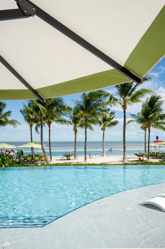 Swimming pool overlooking a sandy beach with palm trees and beach umbrellas.