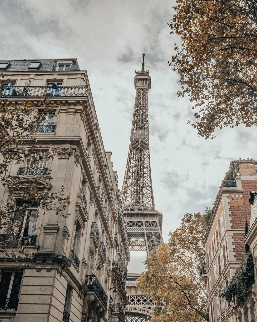 Looking up at the Eiffel Tower through Parisian-style buildings with balconies and trees with autumn foliage.