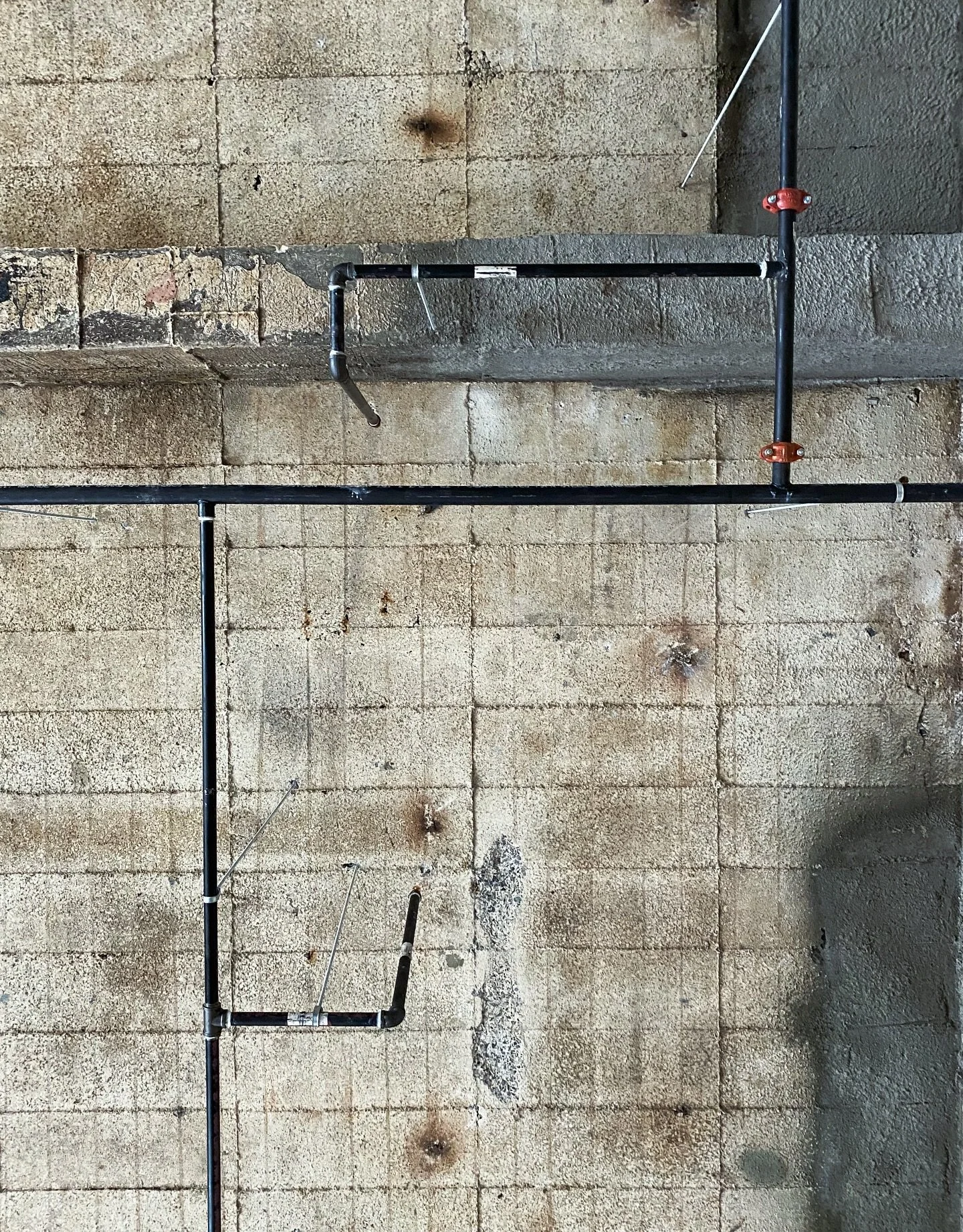 GUESS: Will the sprinkler pipes be painted or left as they are?