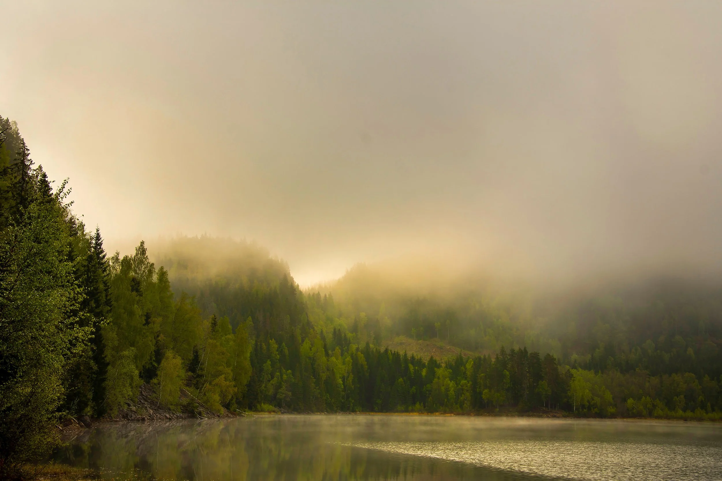 Morning Mist.jpg