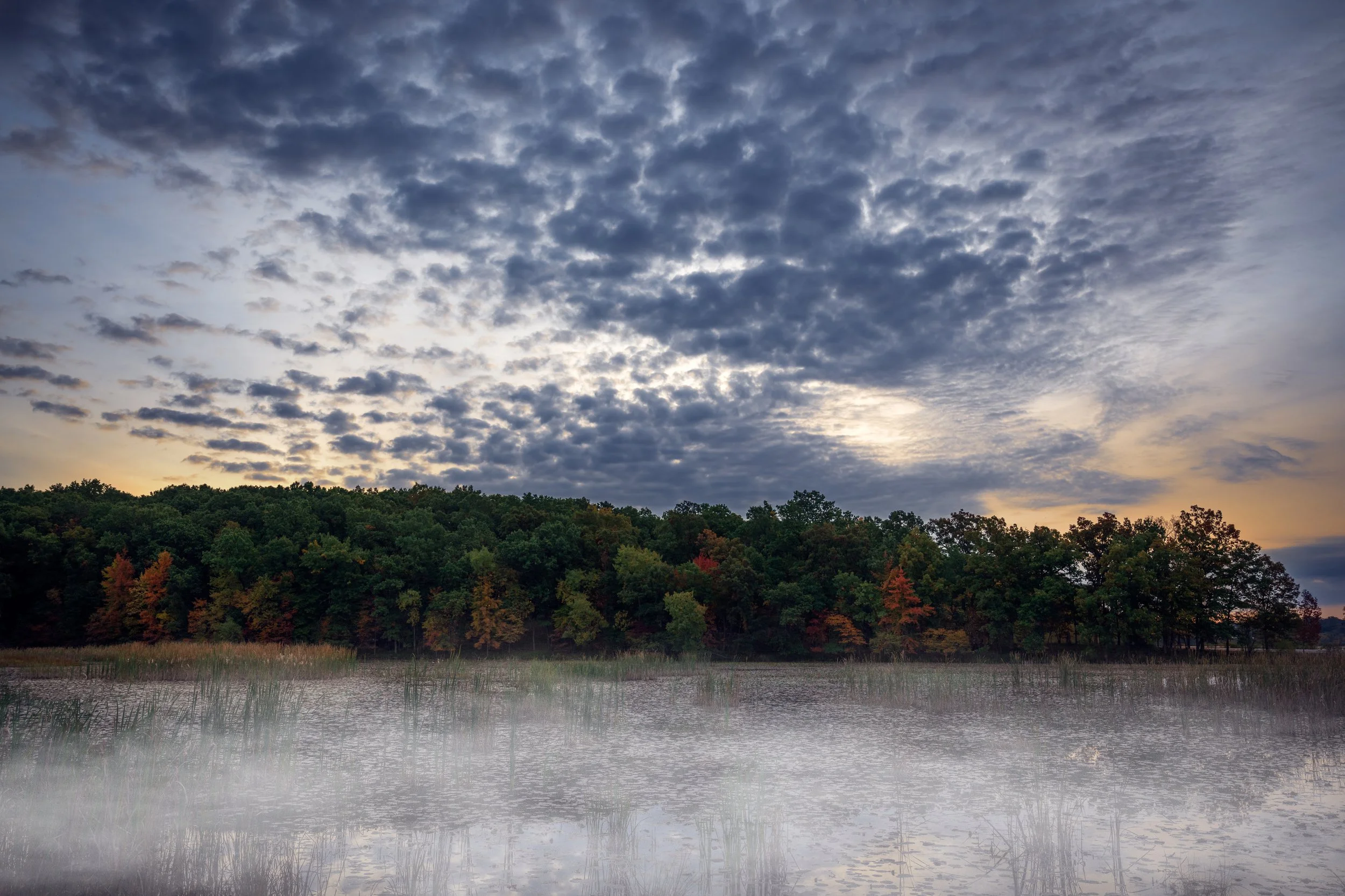 LANDSCAPES