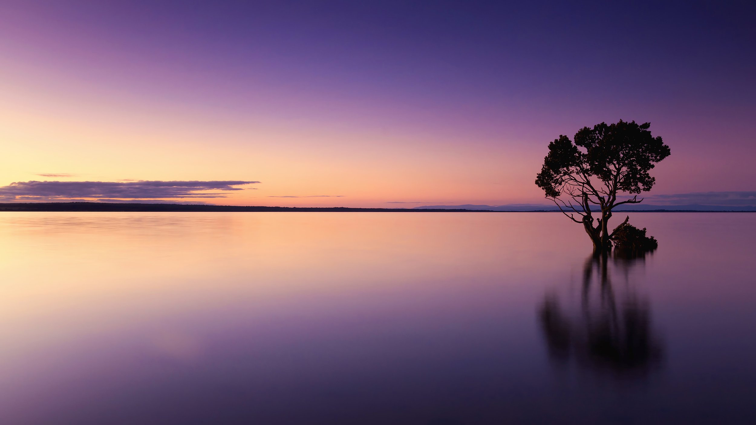 Purple Skies.jpg